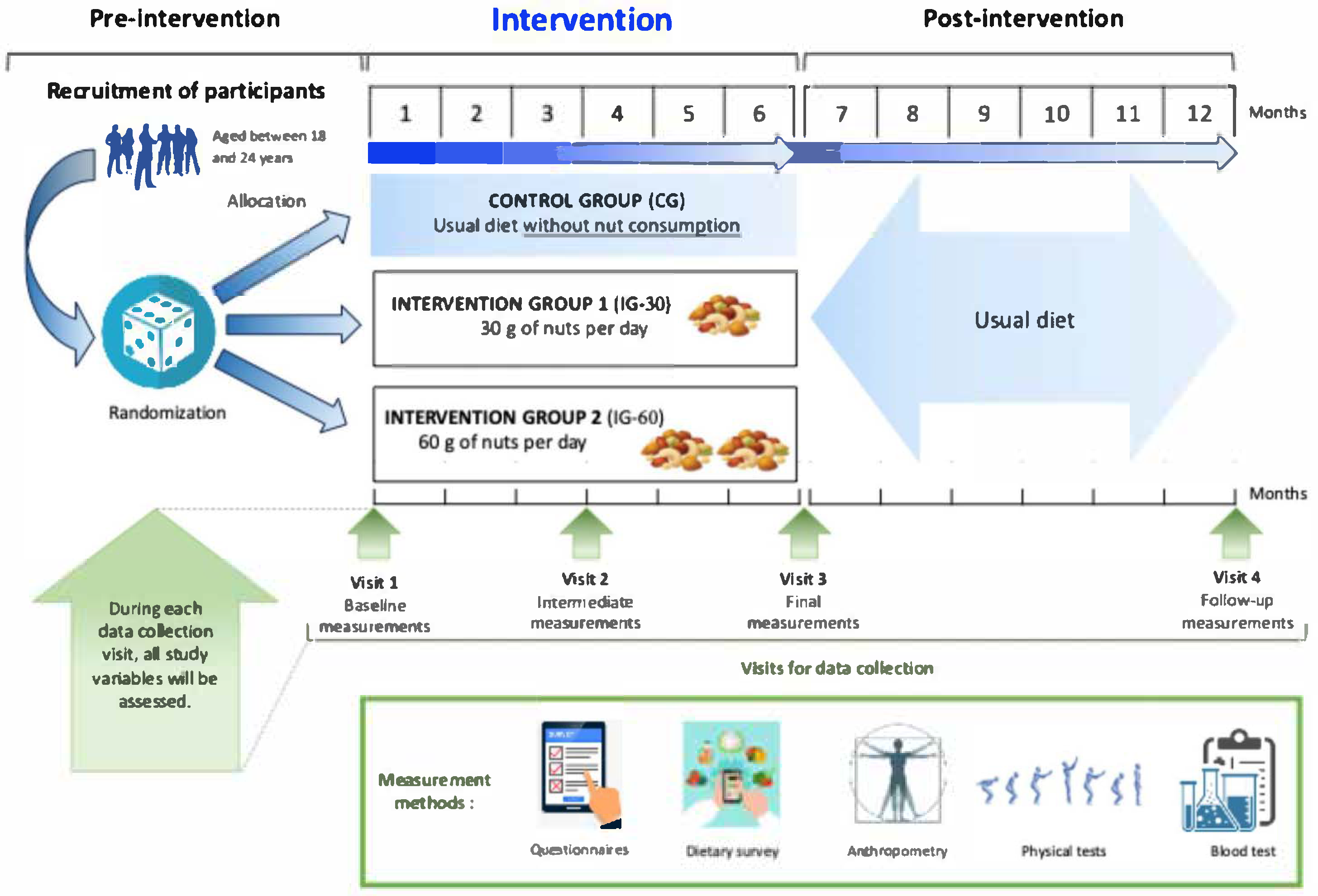 Nuts4Brain-RCT: Protocol for a Three-Arm Randomized Controlled Trial ...