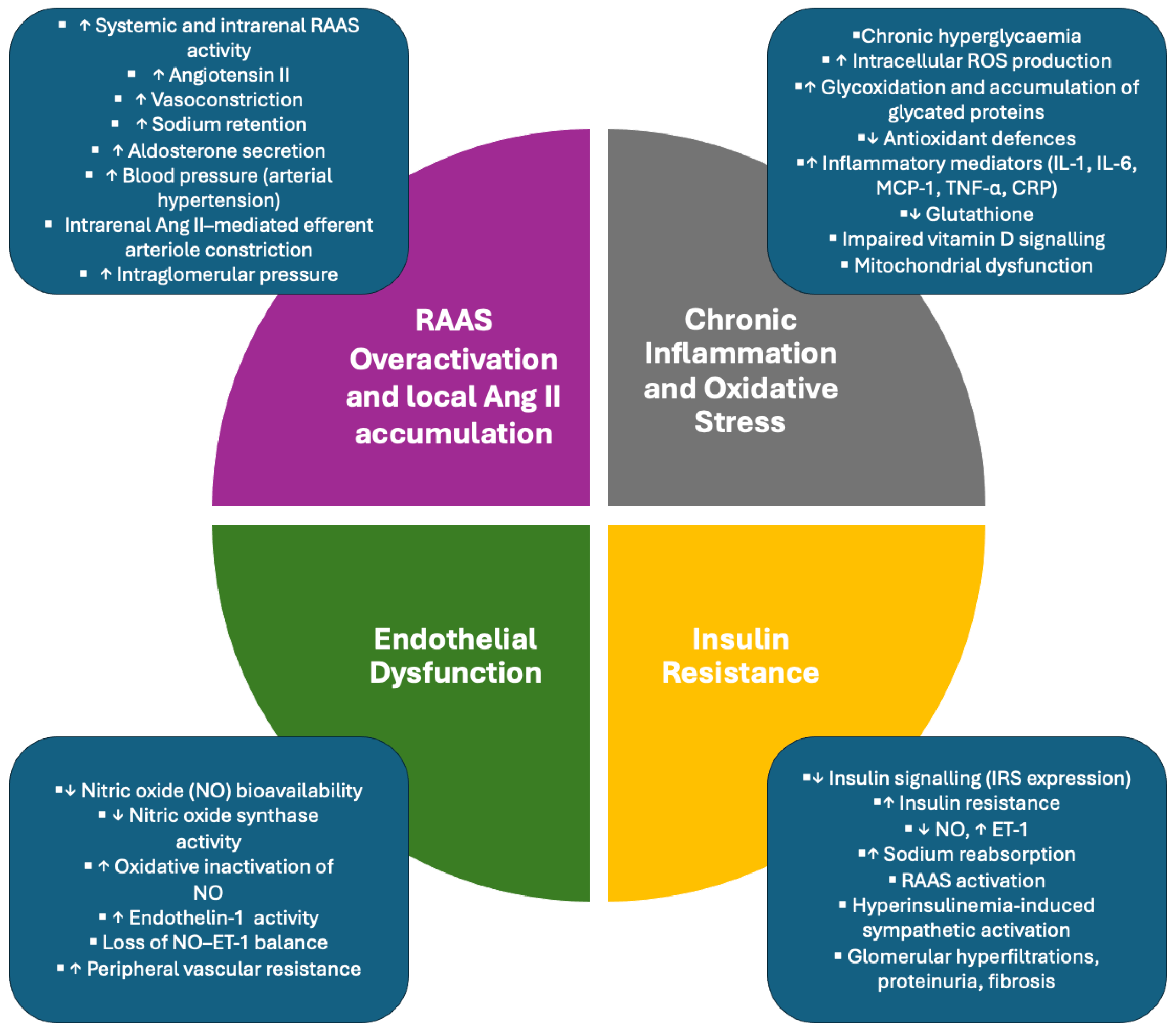 The Vicious Cycle of Diabetic Kidney Disease, Vitamin D Deficiency, and ...