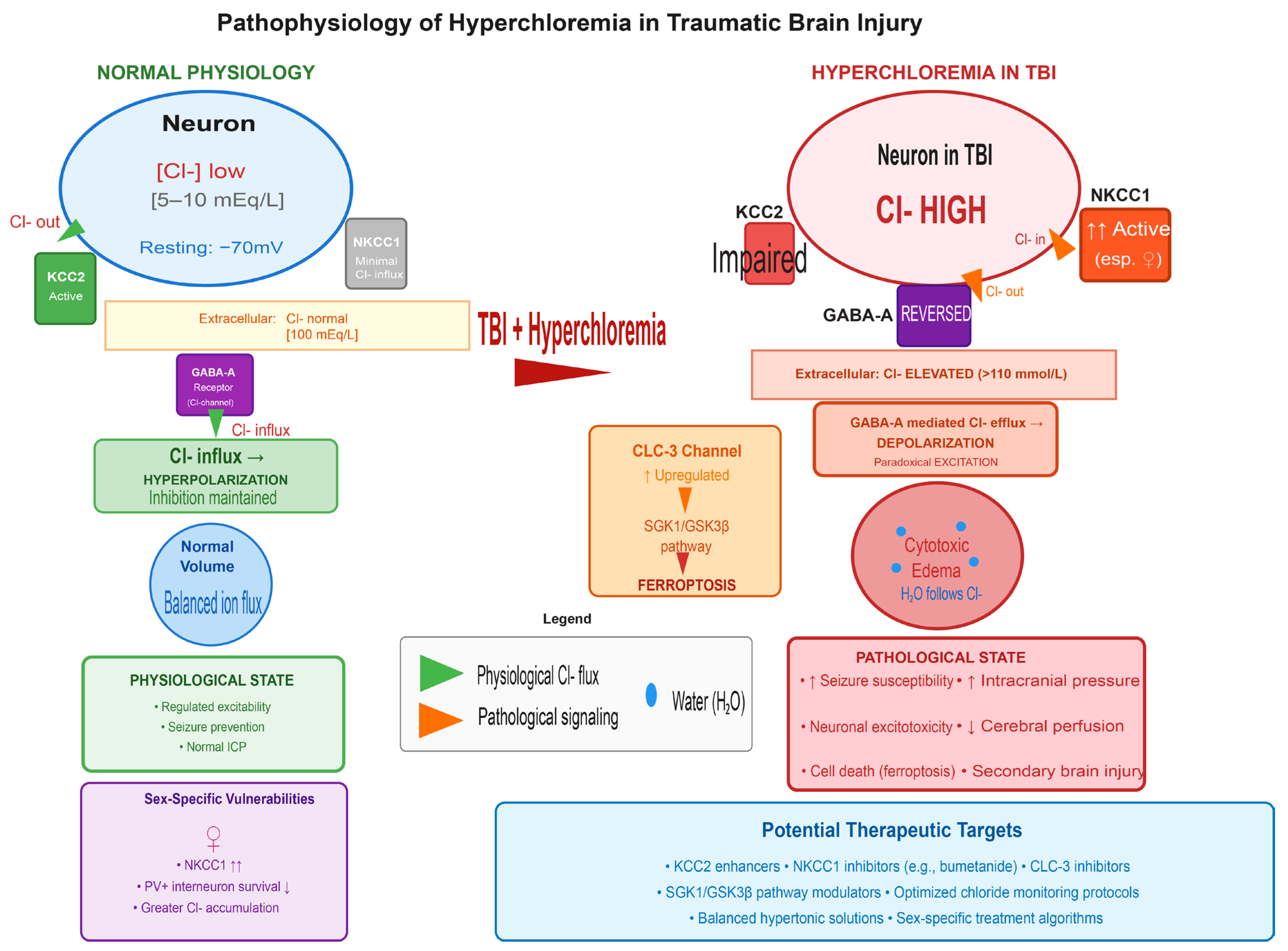 Association Between Hyperchloremia and Neurological Outcomes in ...