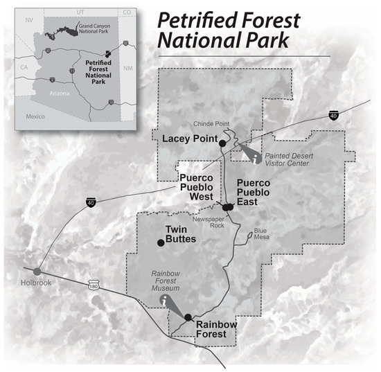 petrified forest national park map