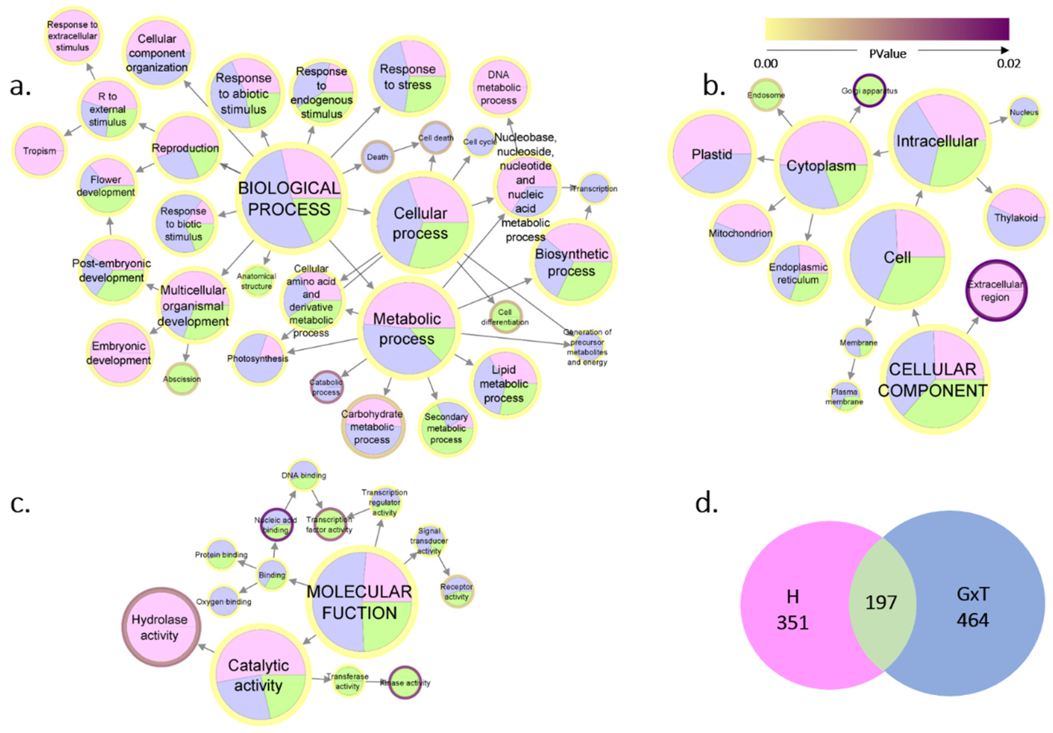 Three Girls Xxnx - Horticulturae | Free Full-Text | Transcriptomic Analysis of Sex-Associated  DEGs in Female and Male Flowers of Kiwifruit (Actinidia deliciosa [A. Chev]  C. F. Liang & A. R. Ferguson)