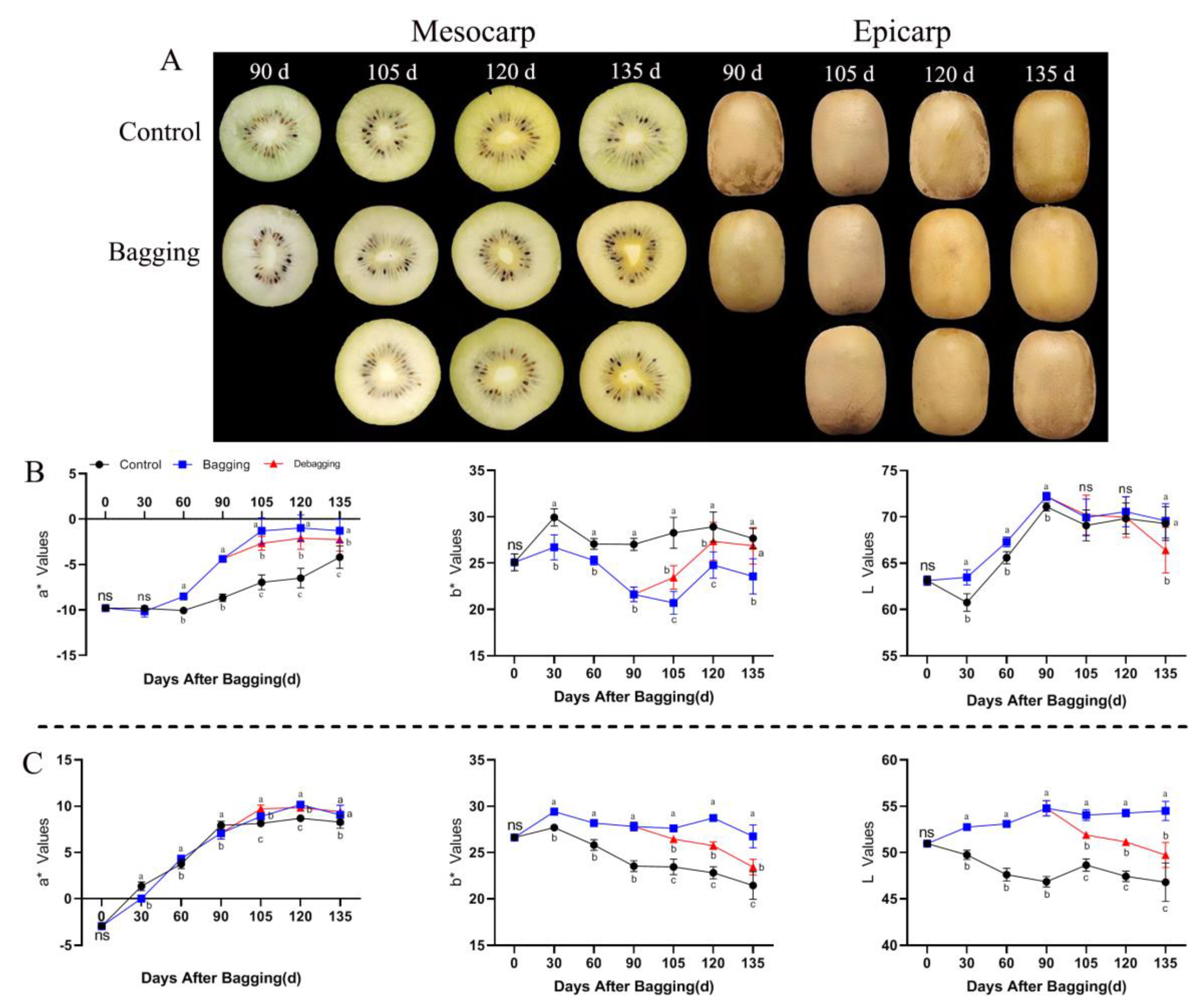 Bagging Statistical Network Inference from Large-Scale Gene Expression Data