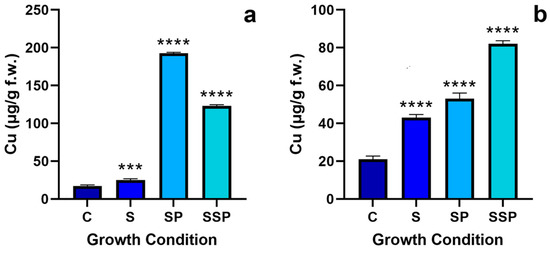 Effects of Exogenously Applied Copper in Tomato Plants’ Oxidative and ...