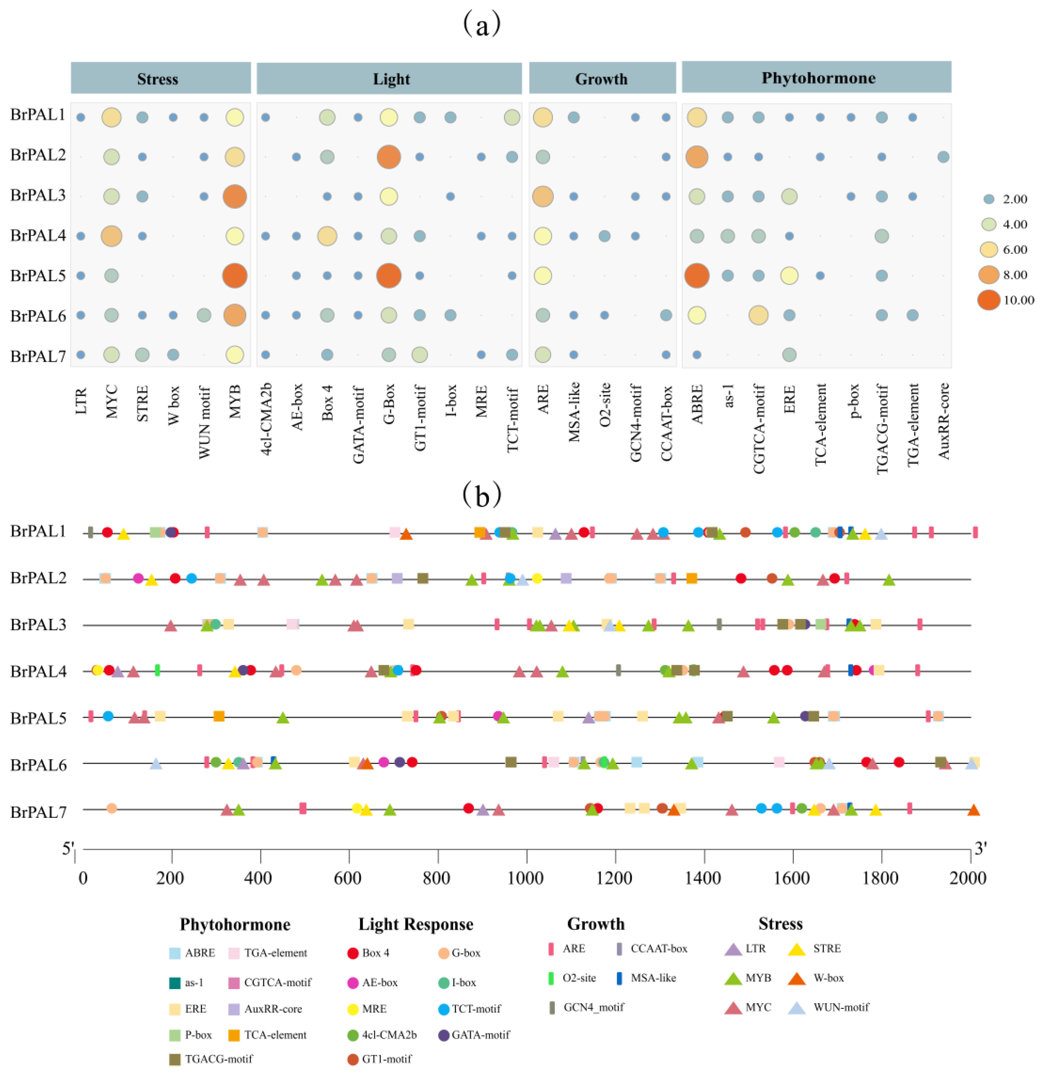 Molecular evolution and functional characterisation of an ancient