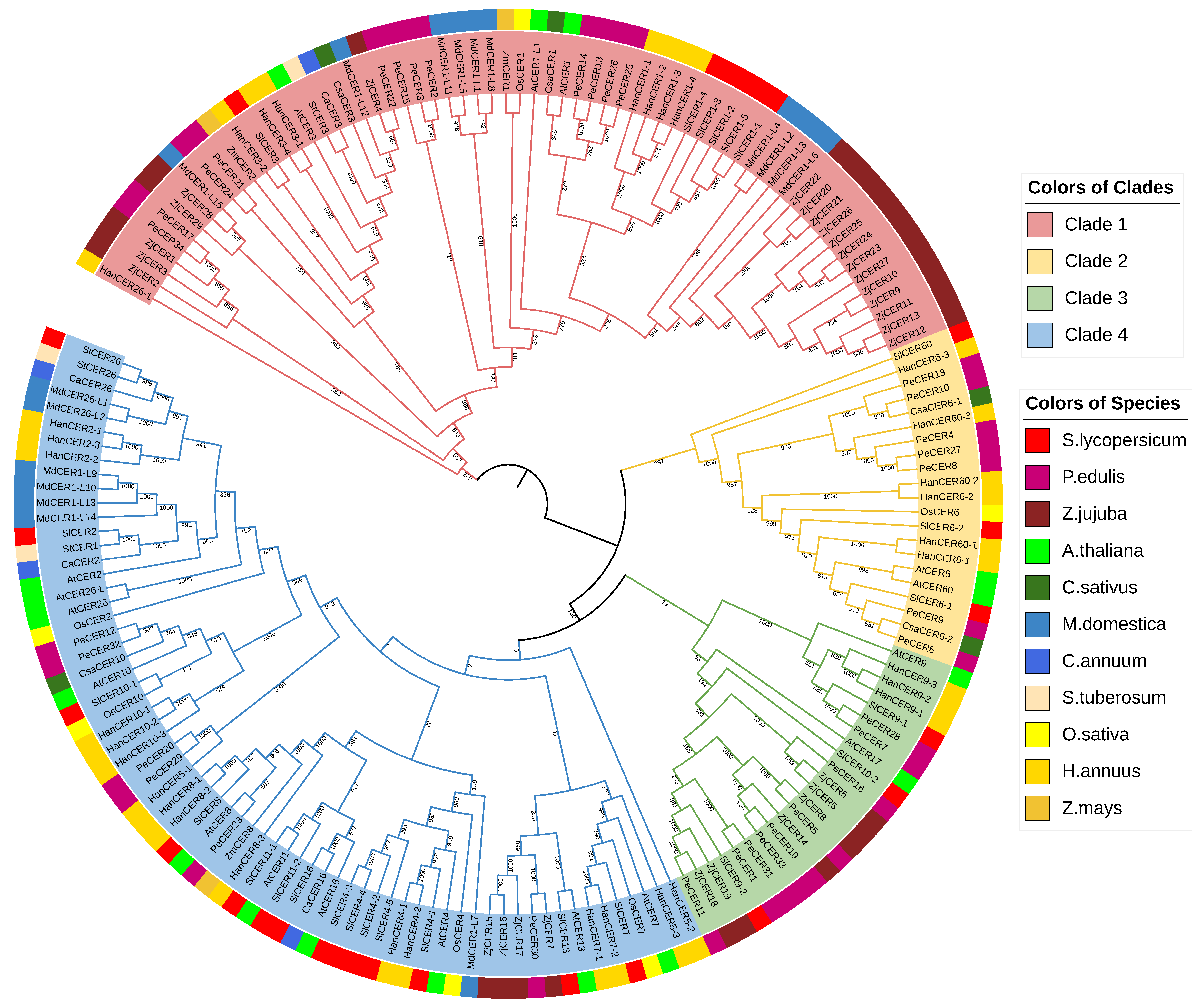 Horticulturae | Free Full-Text | Eceriferum Genes In Tomato (Solanum ...