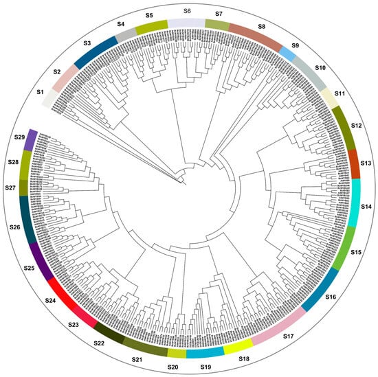 Horticulturae | Free Full-Text | The Genome-Wide Identification of the ...