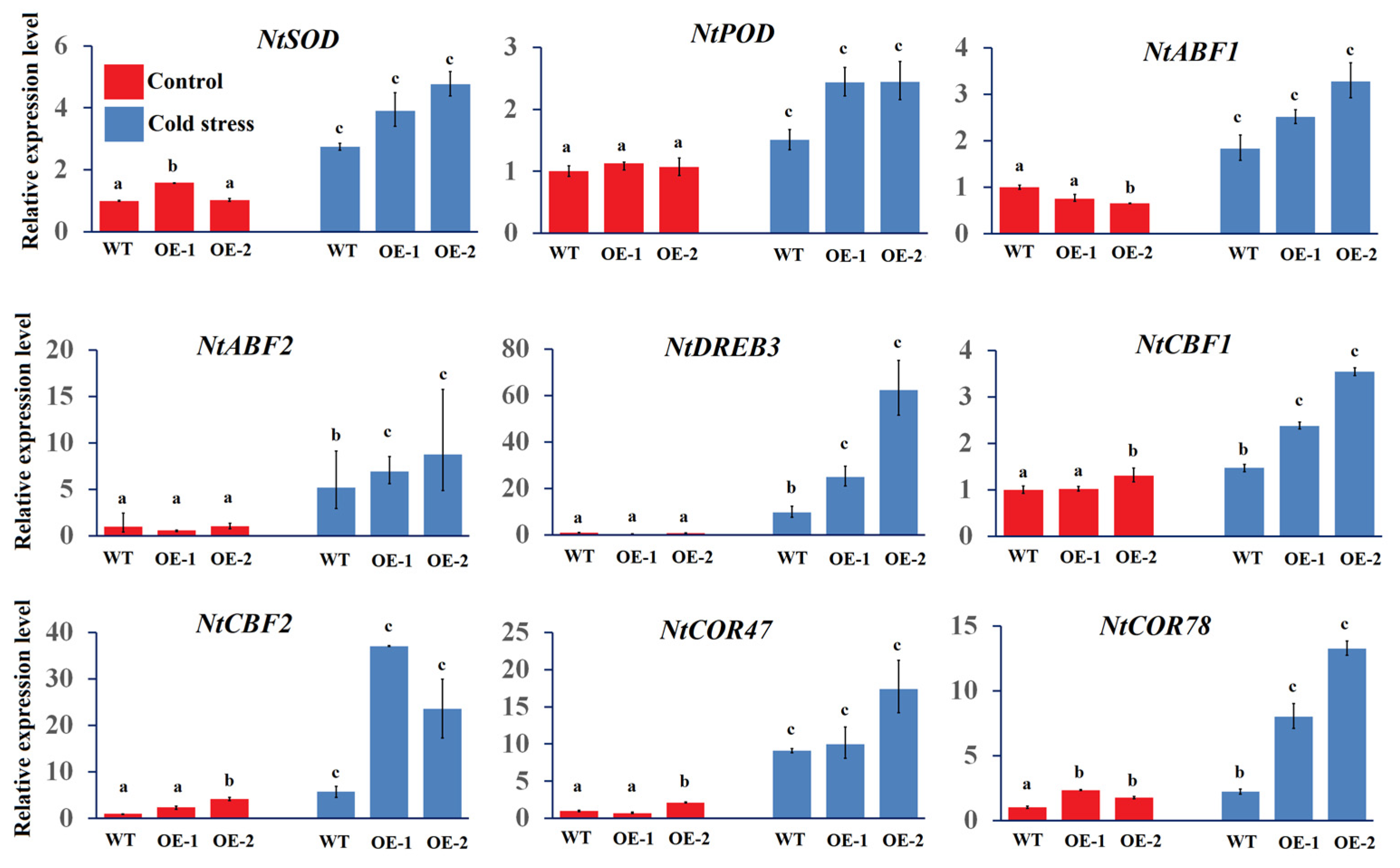 A Small Auxin Up-regulated Rna Gene Isolated From Watermelon (clsaur1 