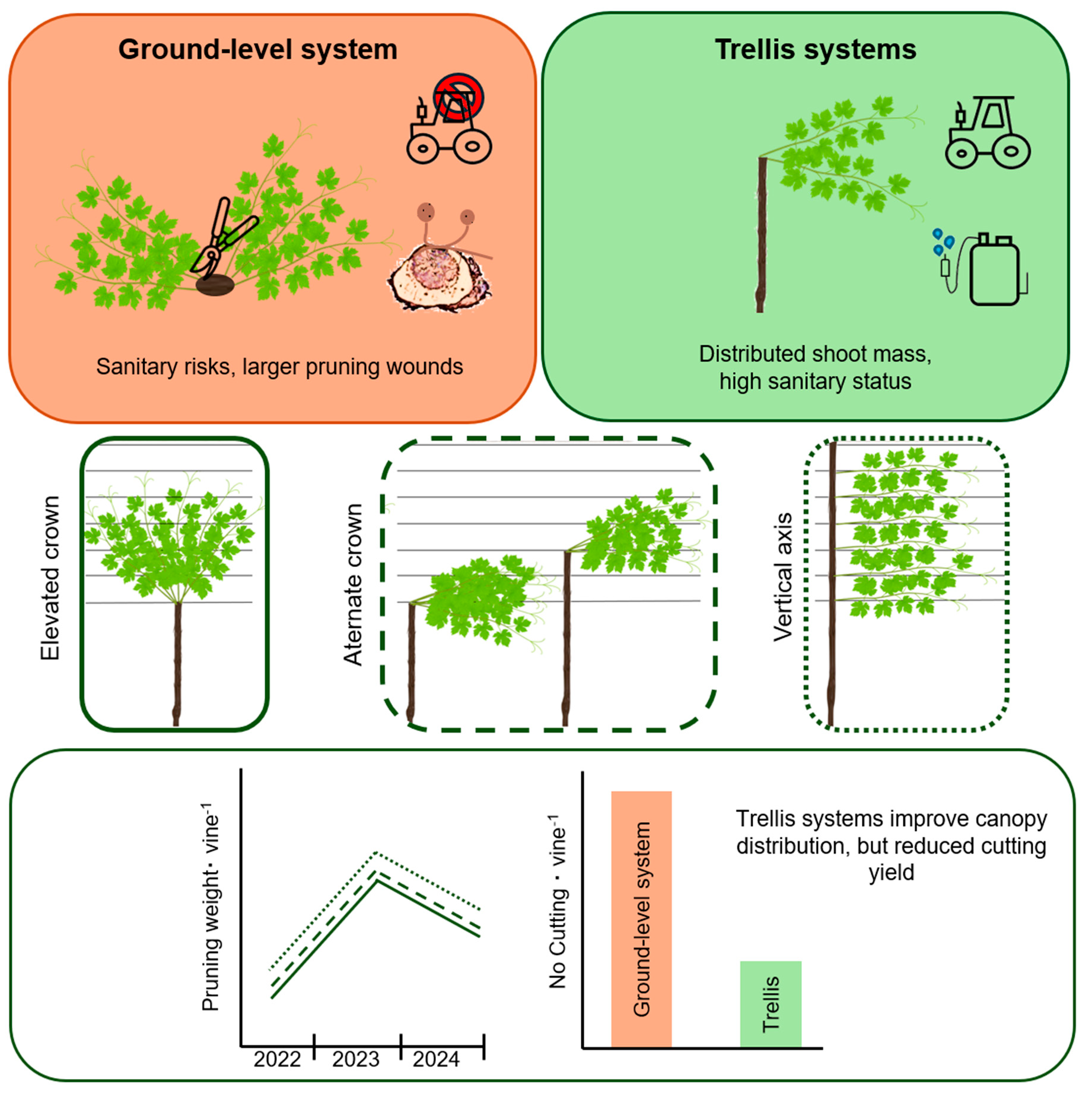 Comparison of the Performance of Vertical Trellising Systems in ...