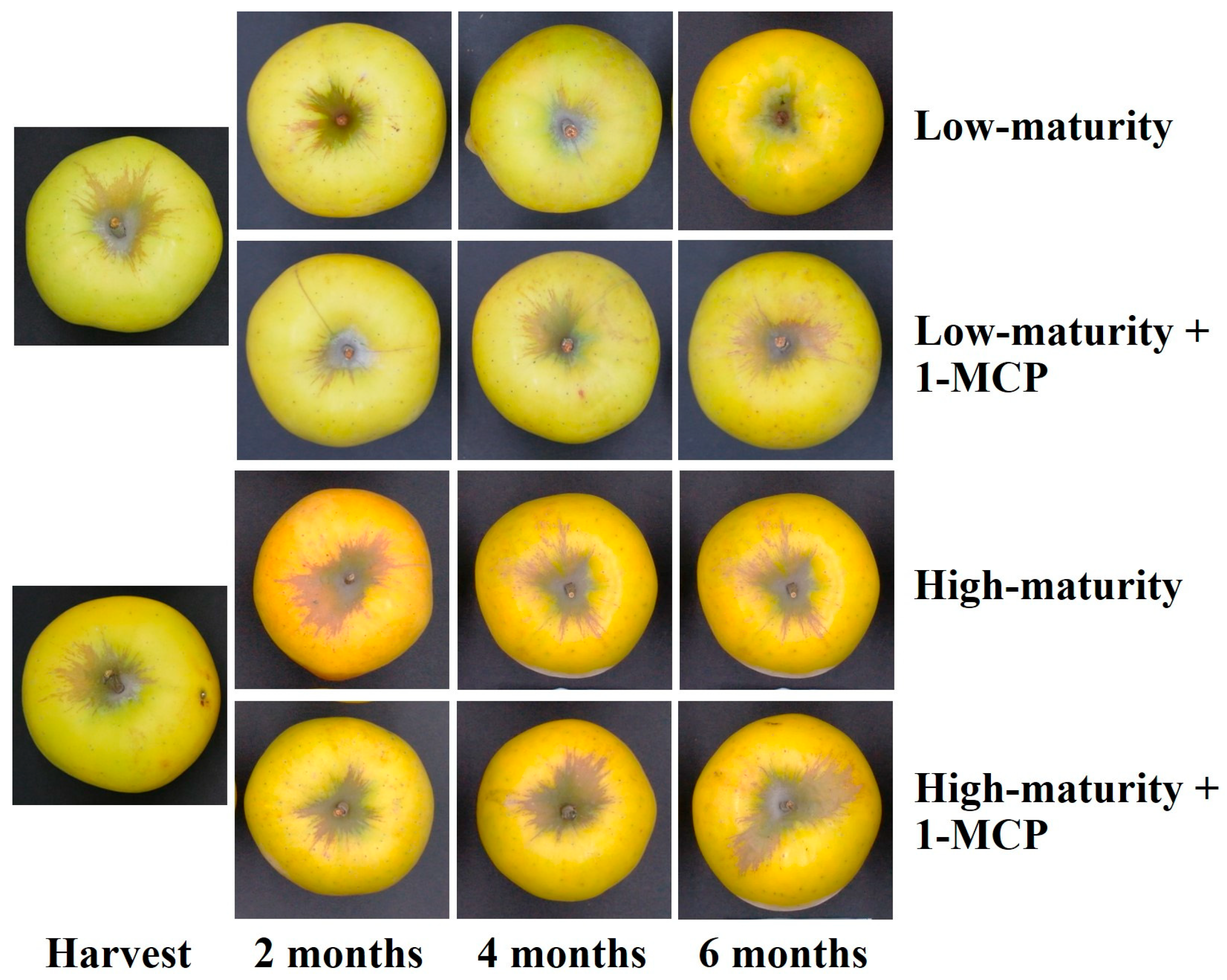 Fruit Maturity and 1-Methylcyclopropene Influence Quality Retention and ...