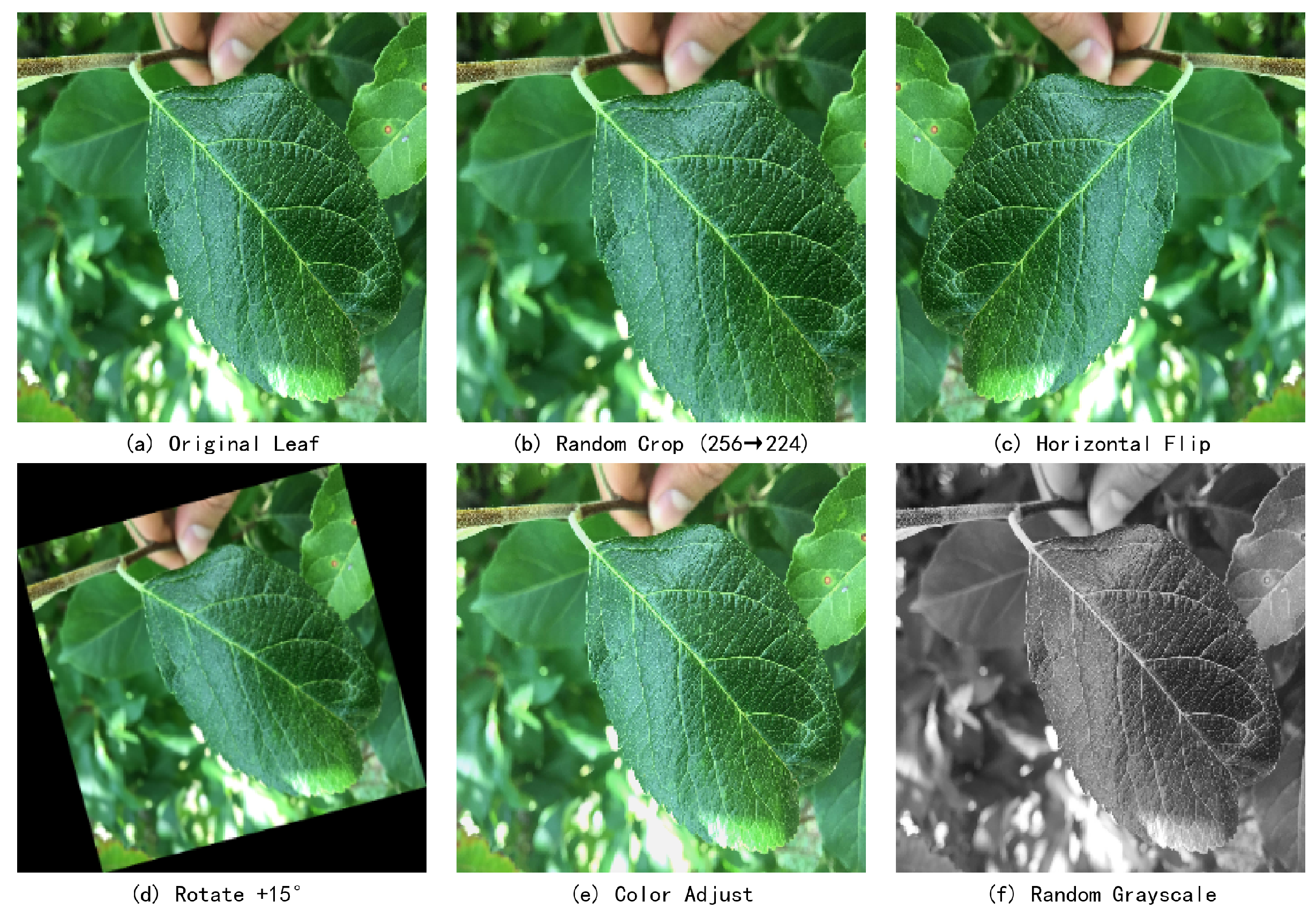 Optimization of Deep Learning Model Based on Attention-Guided PCA ...