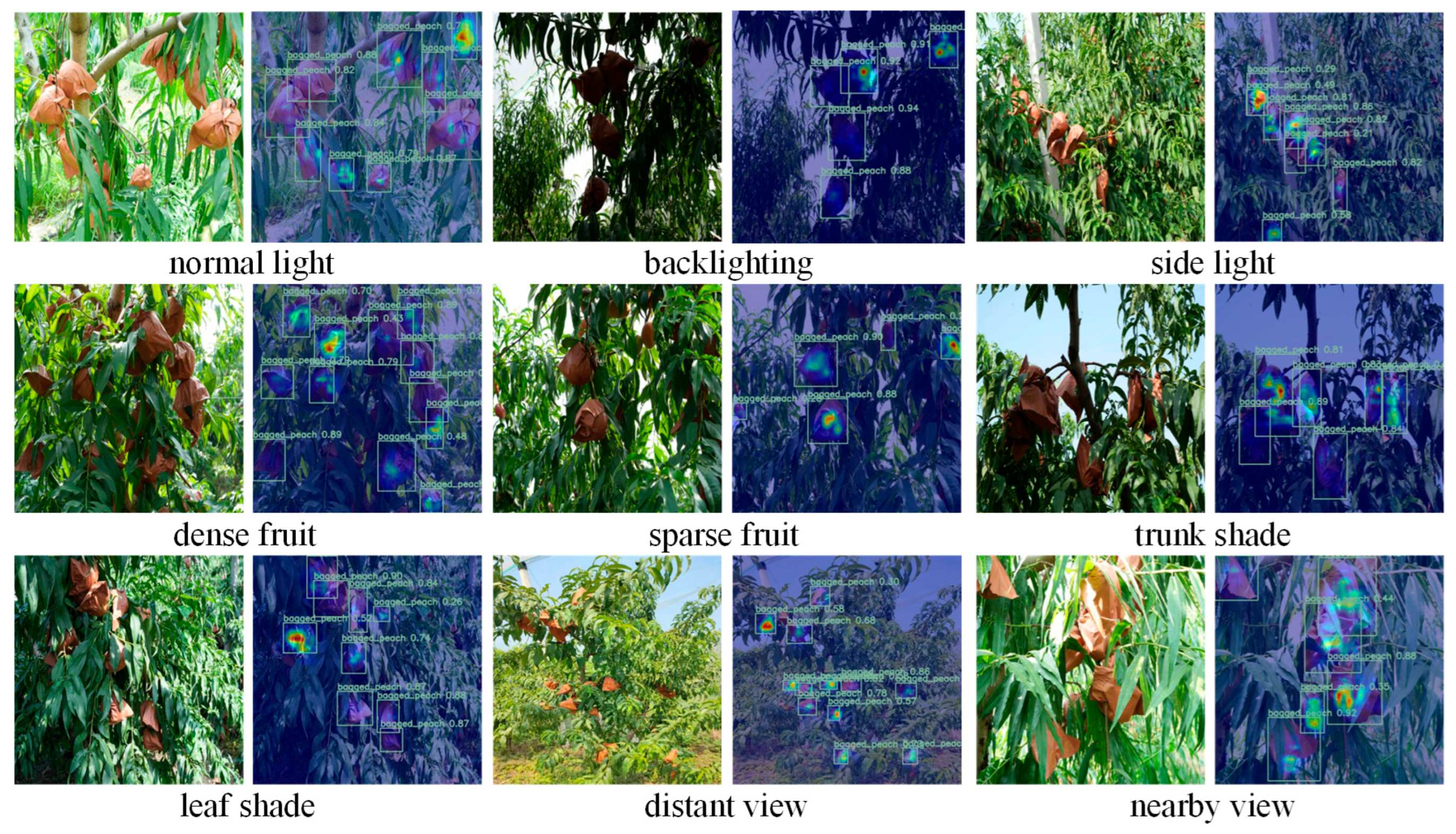 A Flat Peach Bagged Fruits Recognition Approach Based on an Improved ...