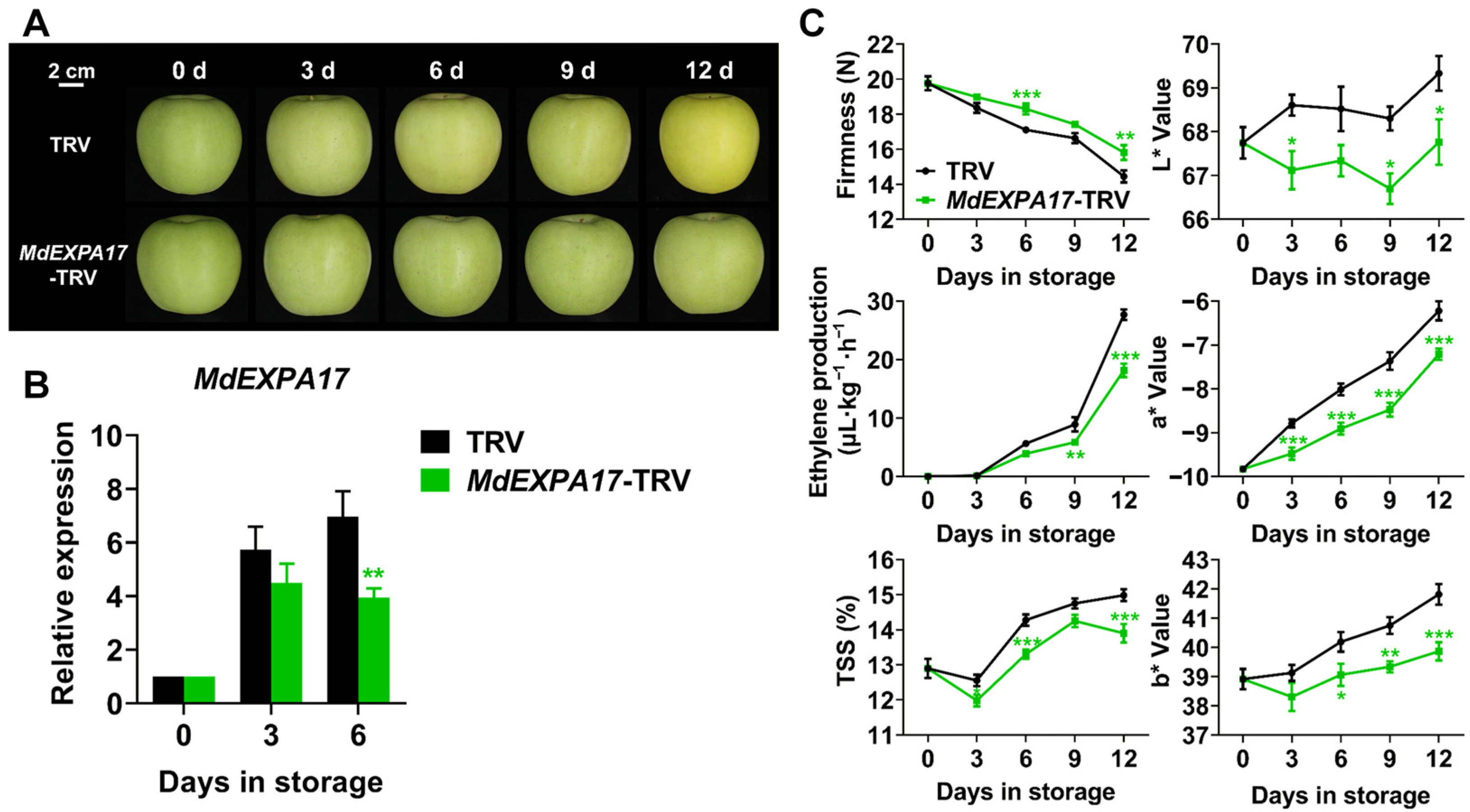 Apple Ripe Spectrum Genome-Wide Identification of Apple Expansins and Functional Evidence ...