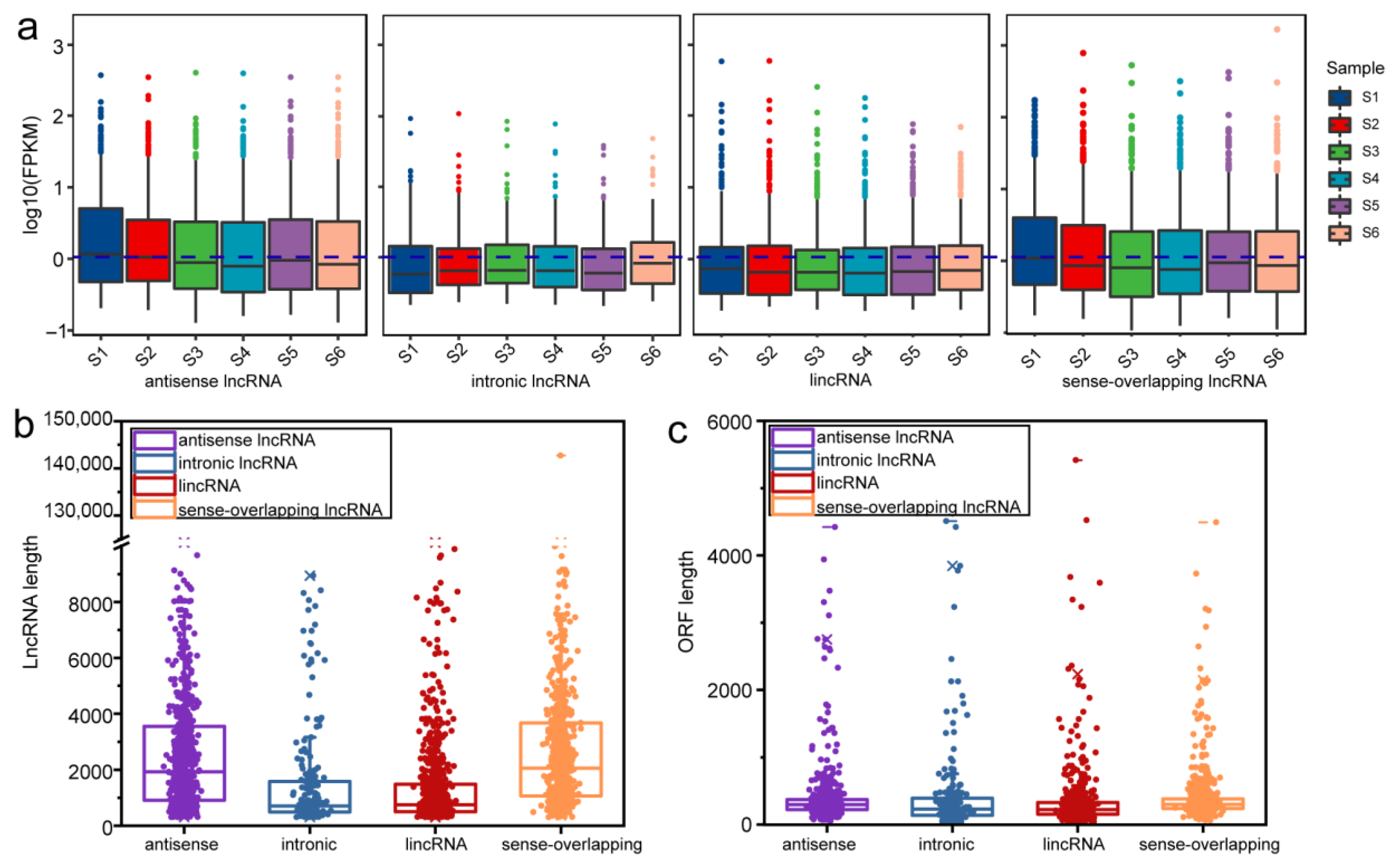 Genome-Wide Identification and Functional Characterization of LncRNA ...