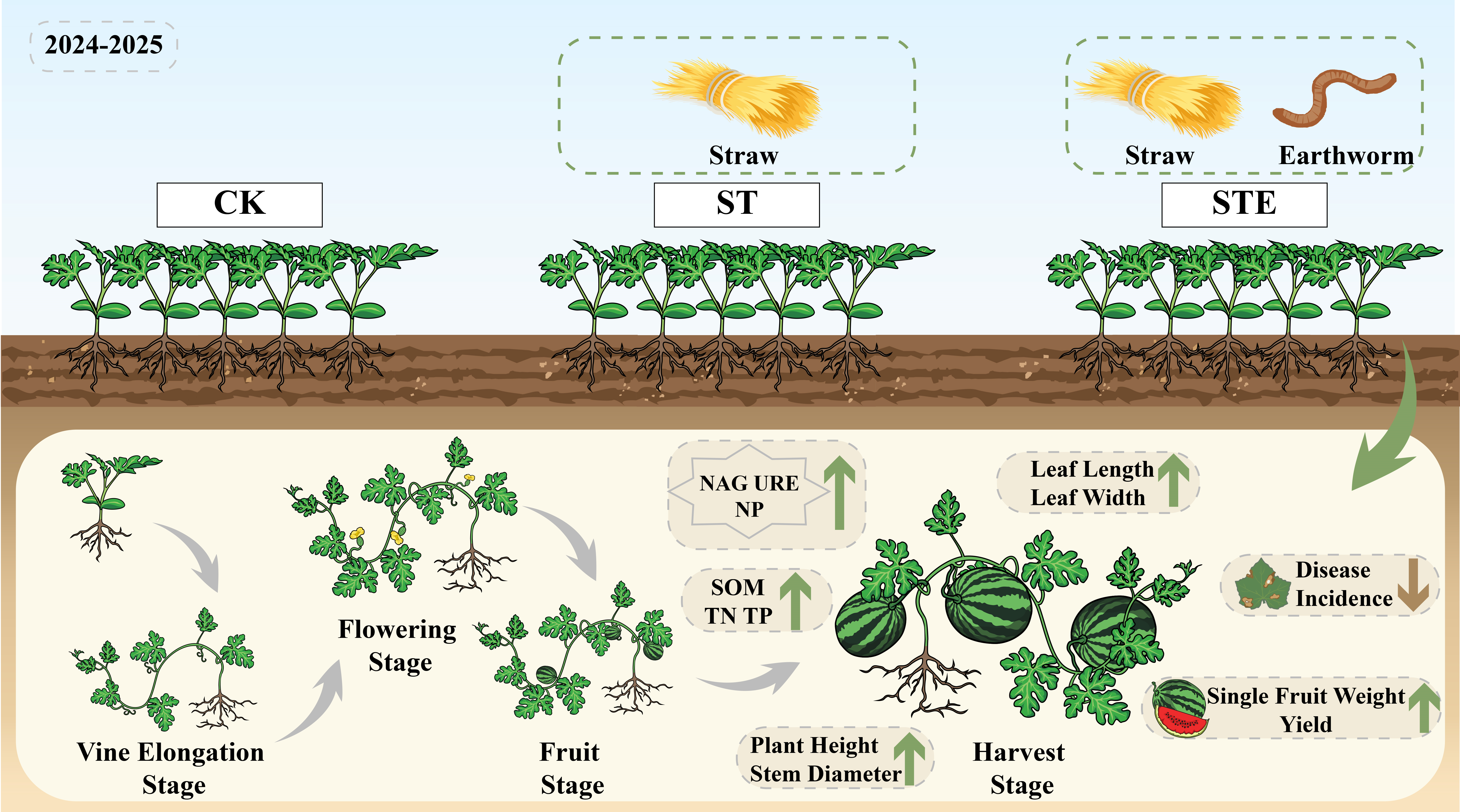 Synergistic Effects of Earthworm and Straw Application on Soil Enzyme ...