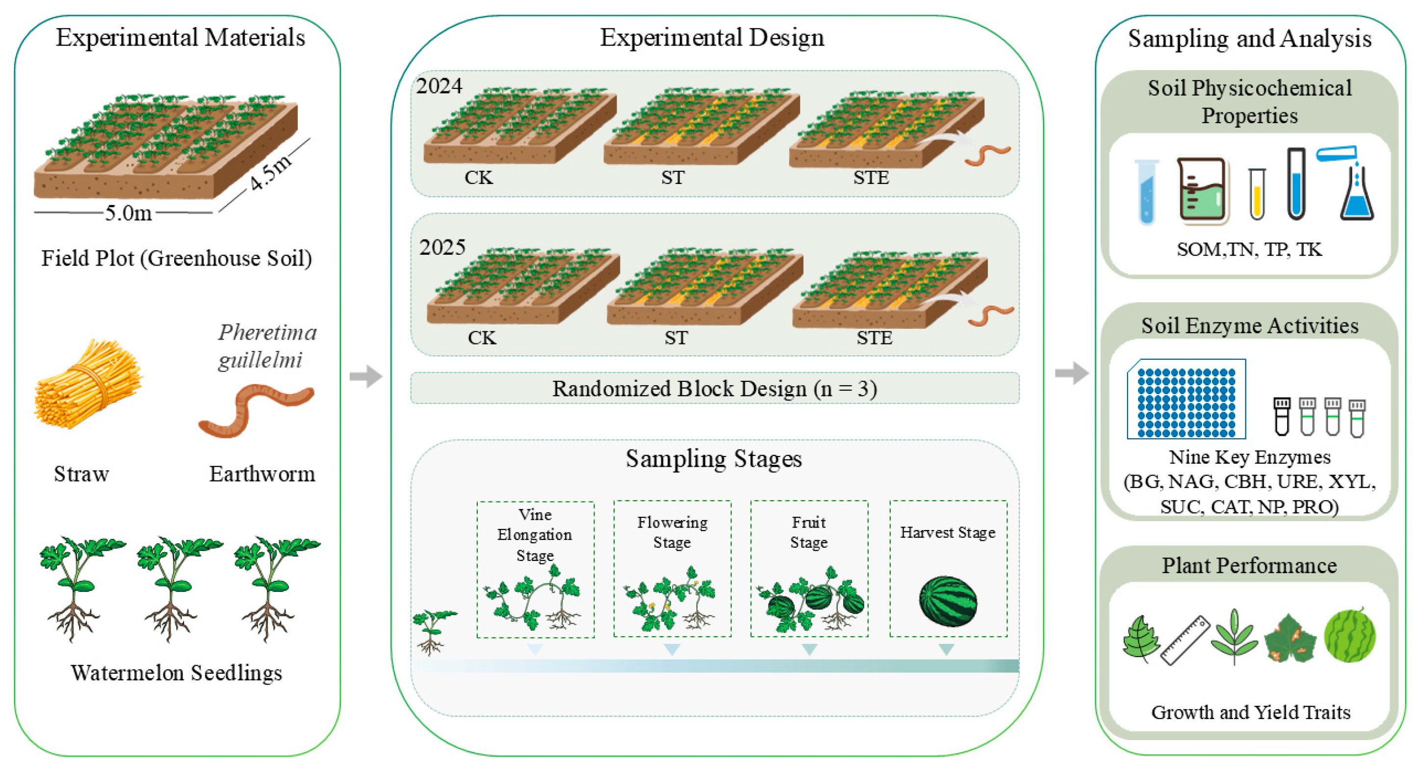 Synergistic Effects of Earthworm and Straw Application on Soil Enzyme ...
