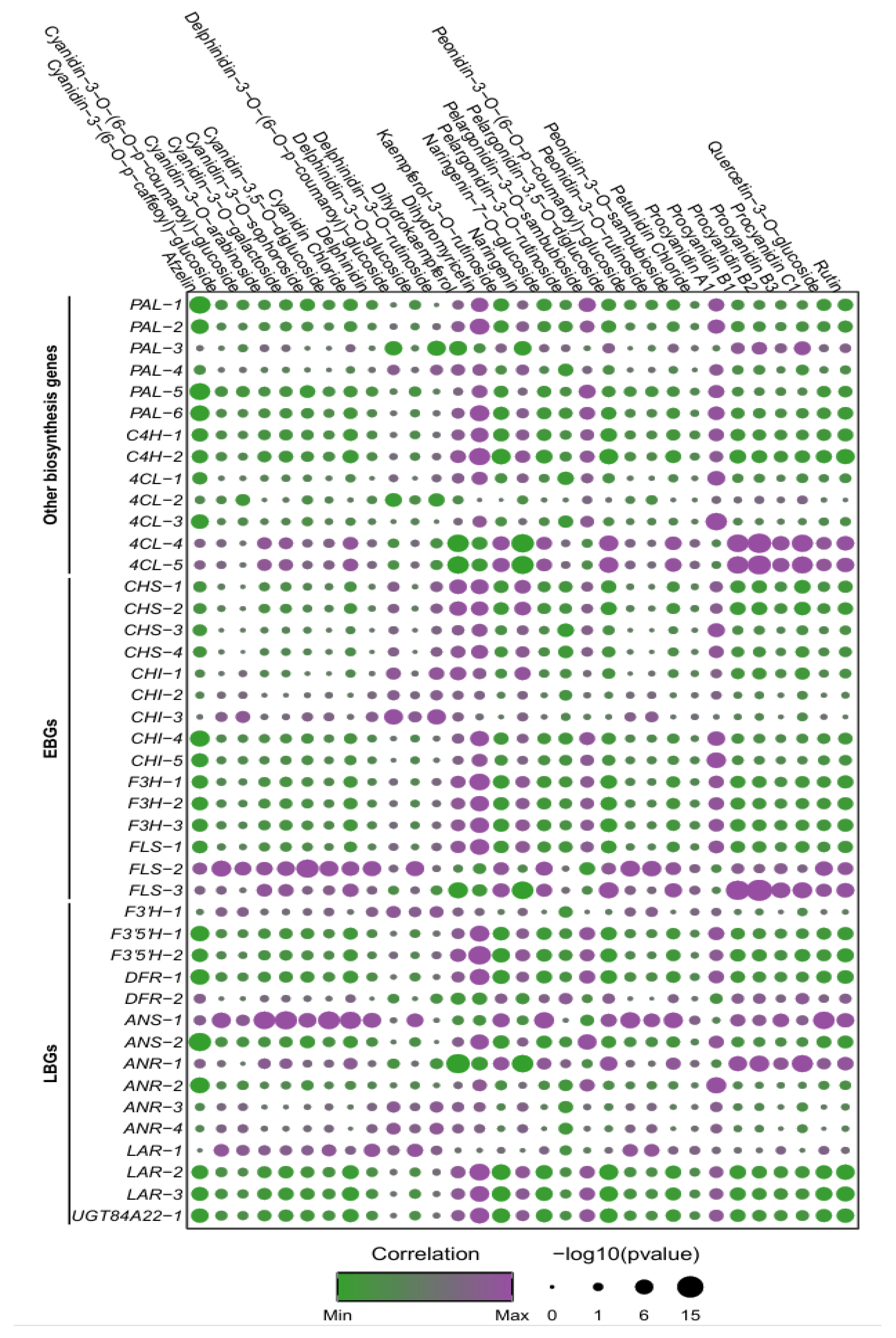 Multi-Omics Integration Reveals the Molecular Mechanisms of Anthocyanin ...
