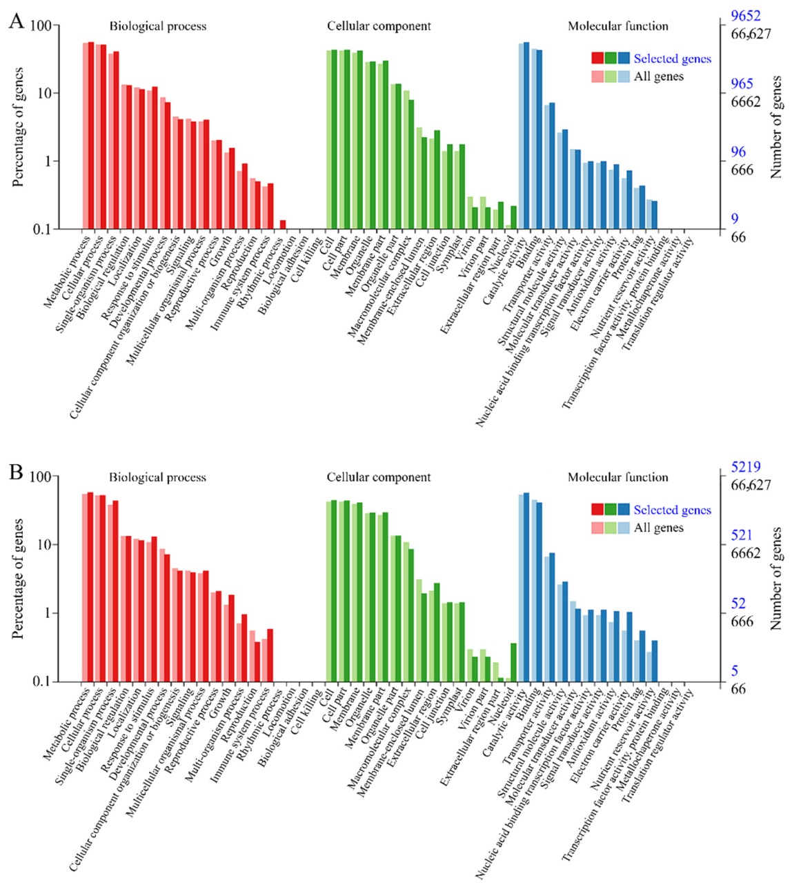 Integrated Oxidative Stress, Cell Wall Modification, and Transcriptomic ...