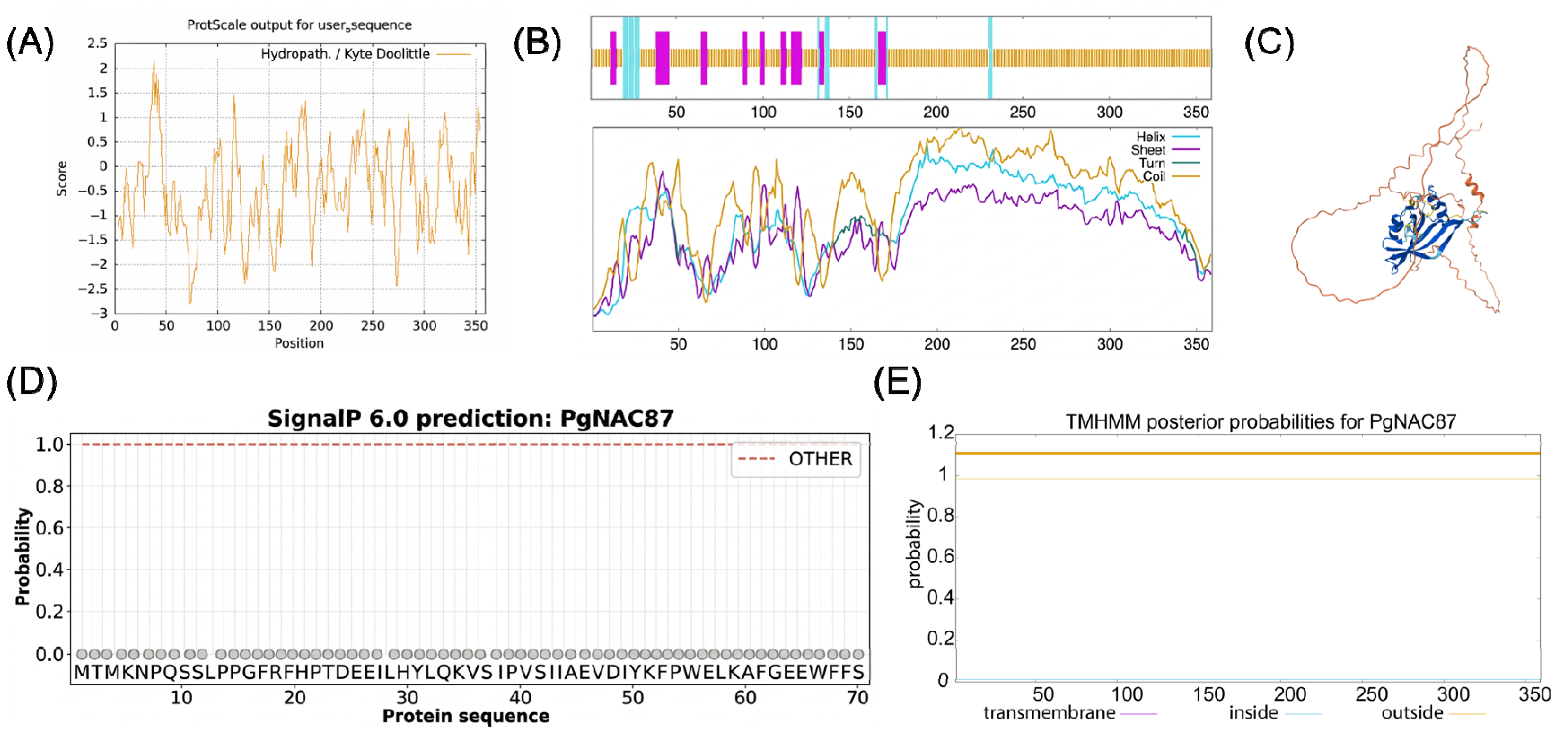 Genome-Wide Identification of the NAC Gene Family in Punica granatum L ...