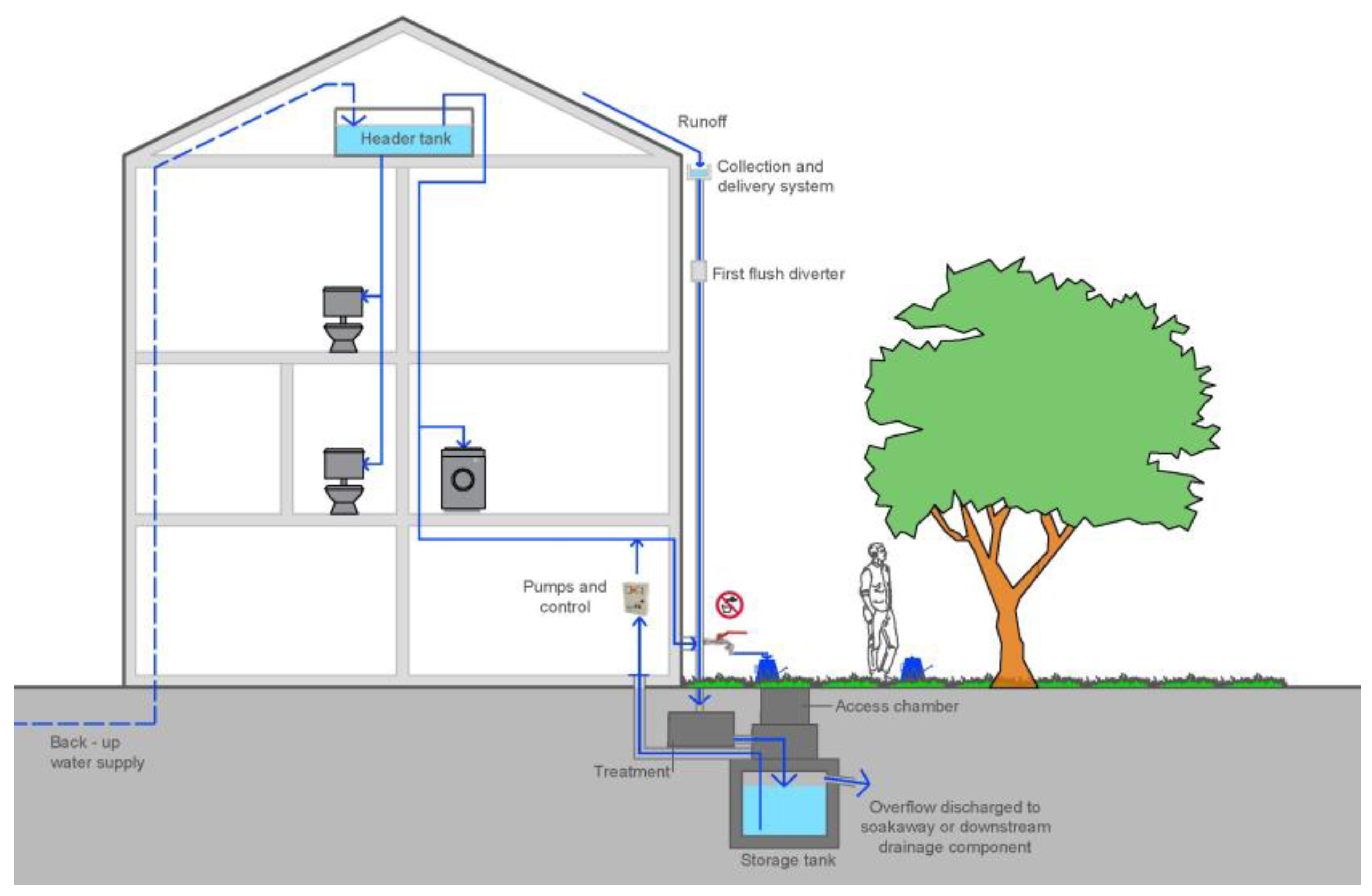 Rainwater Harvesting and Purification System