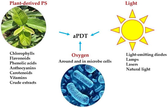 Natural Photosensitizers for Light-Driven Microbial Control ...