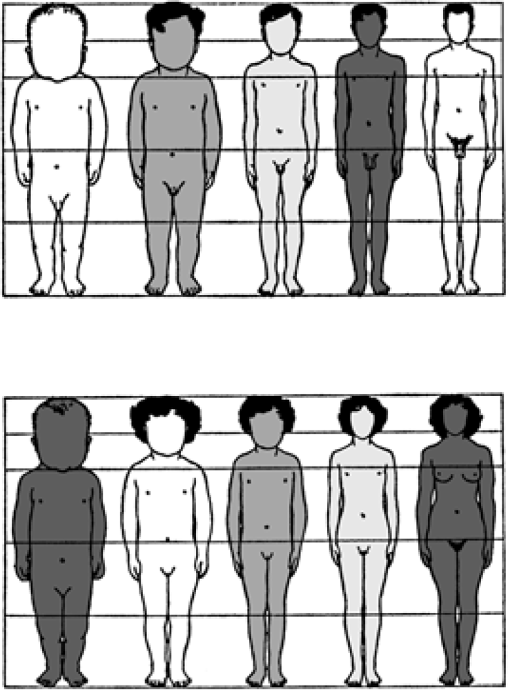 How to know your torso length and body proportion (and this is why most  people got it wrong.) 