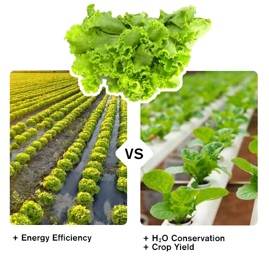 Examining the Scalability of Conventional Farming vs Hydroponics
