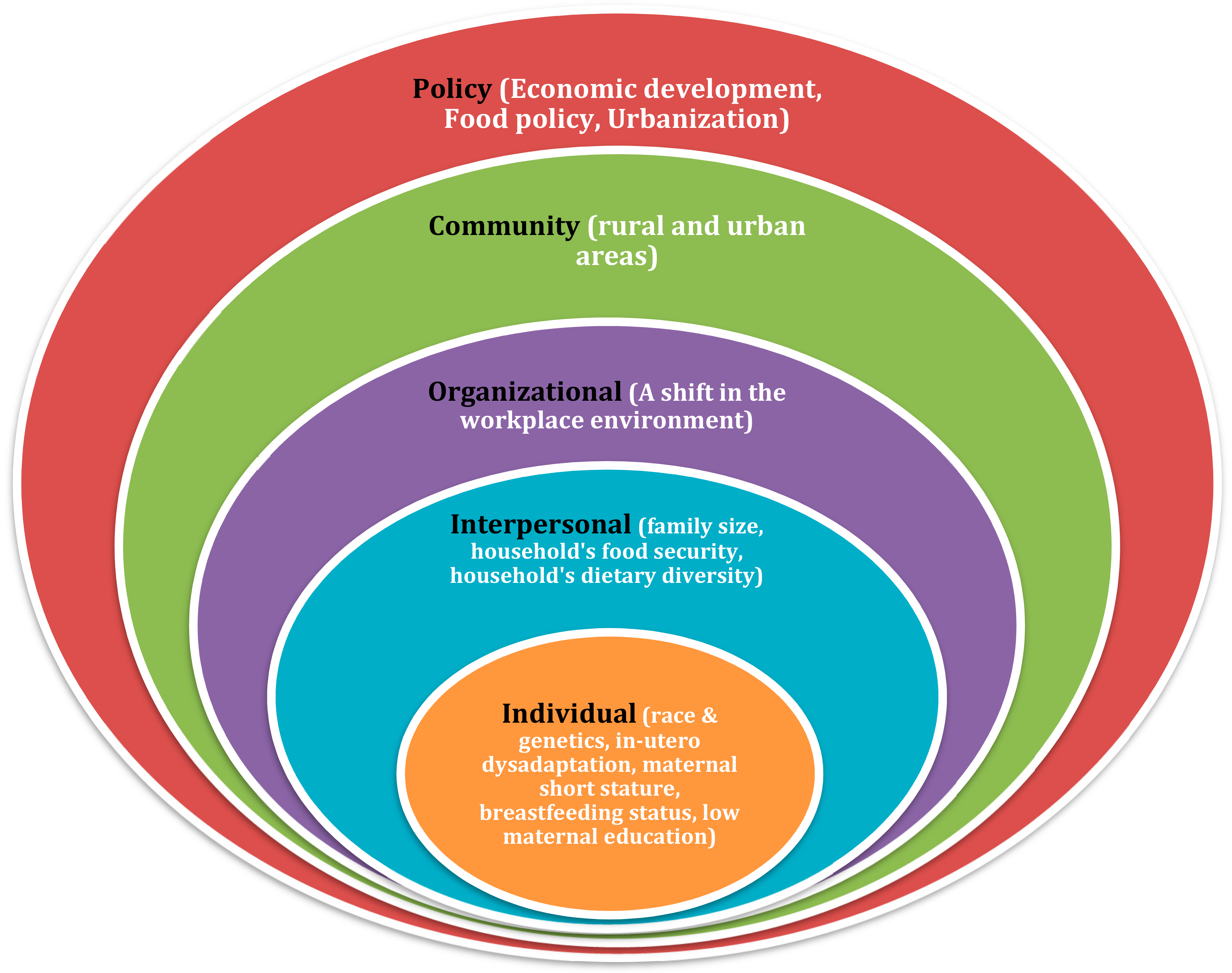 Social Ecological Theory Social Ecological Theory