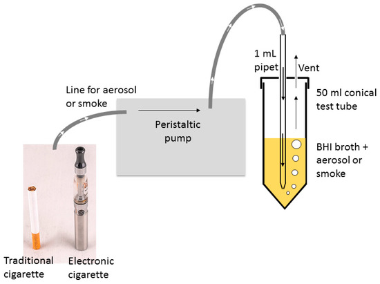 Setup for smoke trapping.  Download Scientific Diagram