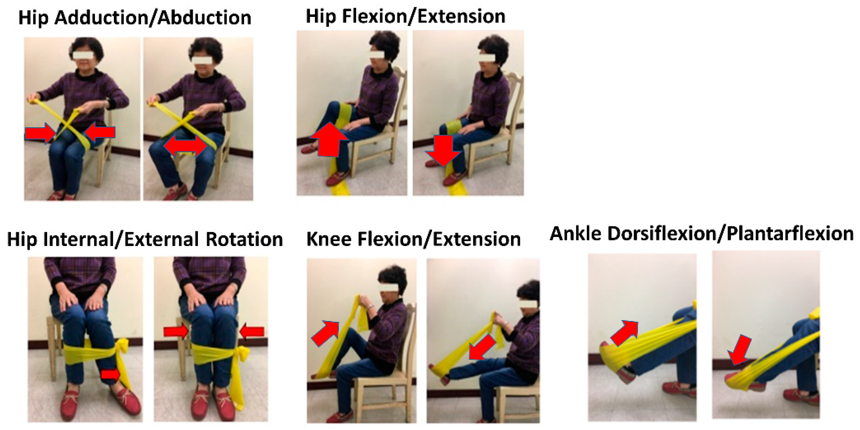 Development and Feasibility of a Senior Elastic Band Exercise
