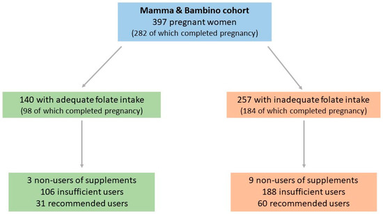 NUTRITION INFORMATION IN PREGNANCY – Reproductive Solutions Ja