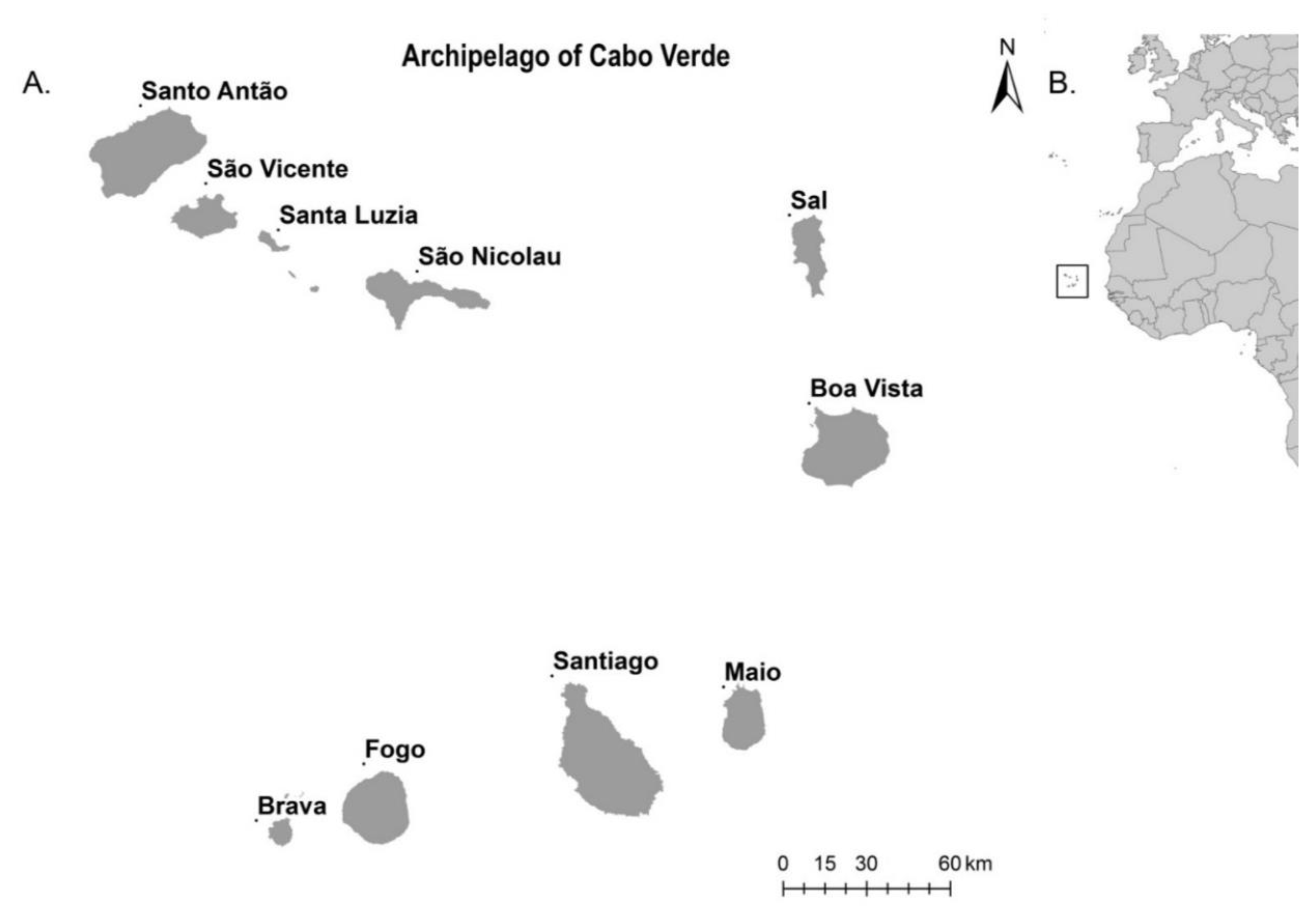 Optøjer Potentiel Rug IJERPH | Free Full-Text | Abundance and Updated Distribution of Aedes  aegypti (Diptera: Culicidae) in Cabo Verde Archipelago: A Neglected Threat  to Public Health