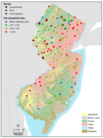 IJERPH | Free Full-Text | Reconnaissance of Surface Water Estrogenicity ...