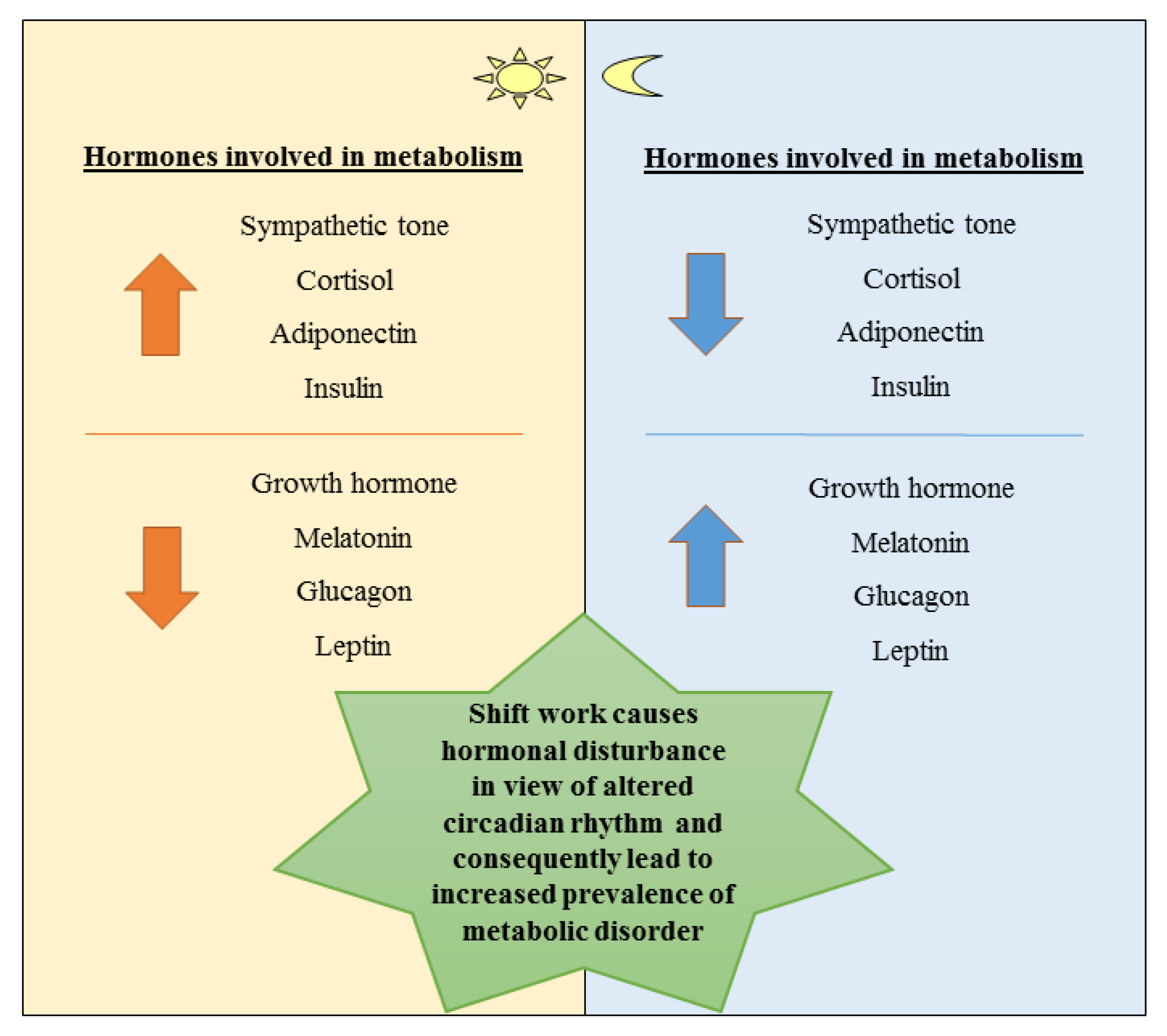 Sample - Working Nights™ Newsletter for Shift Workers - Circadian