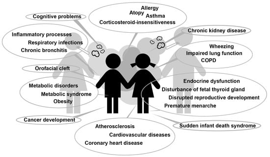 Secondhand Tobacco Smoke (Environmental Tobacco Smoke) - Cancer-Causing  Substances - NCI