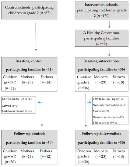 IJERPH | Free Full-Text | Effectiveness of a Family Intervention to ...