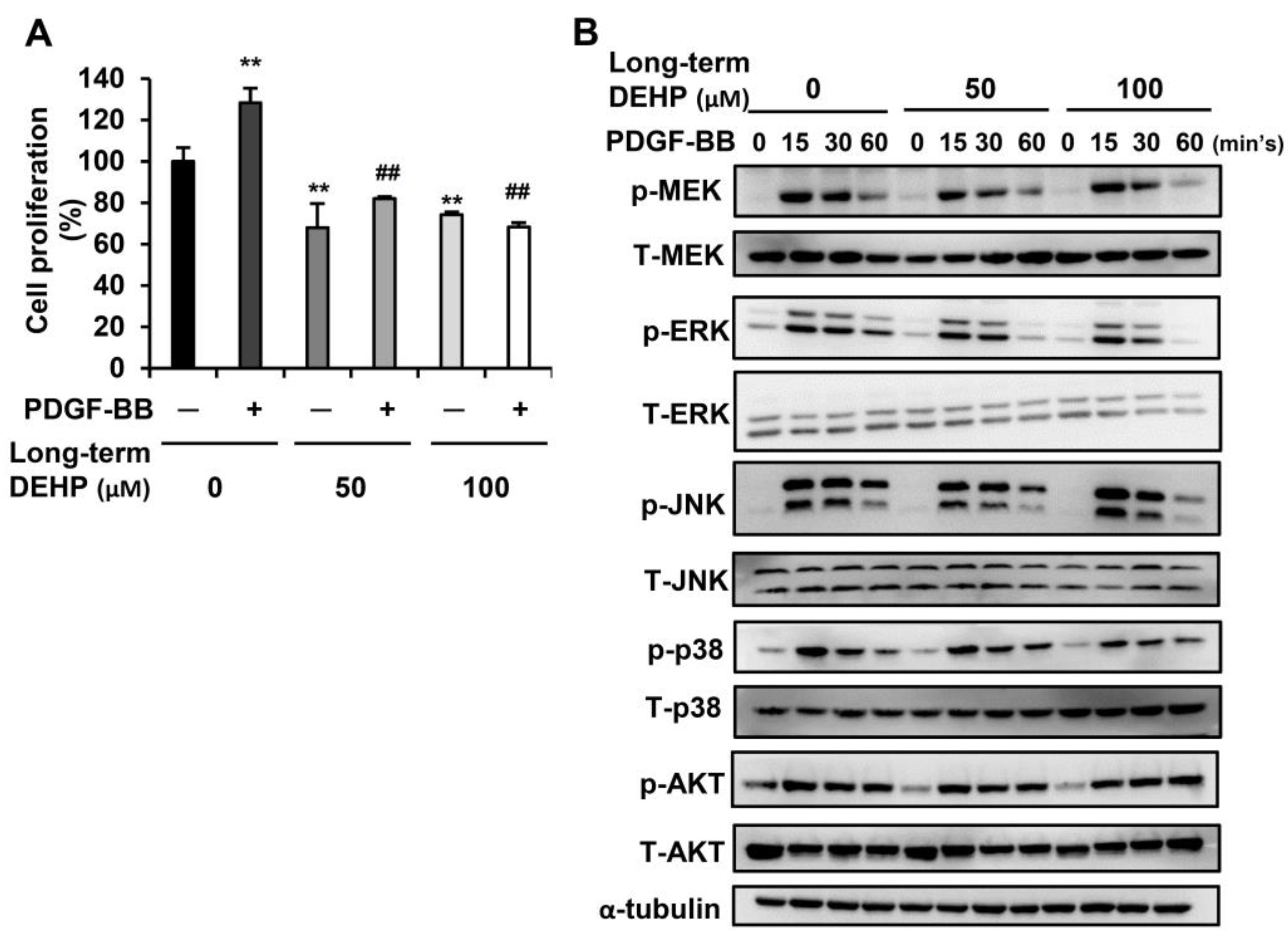 ijerph-free-full-text-long-term-exposure-to-low-dose-di-2