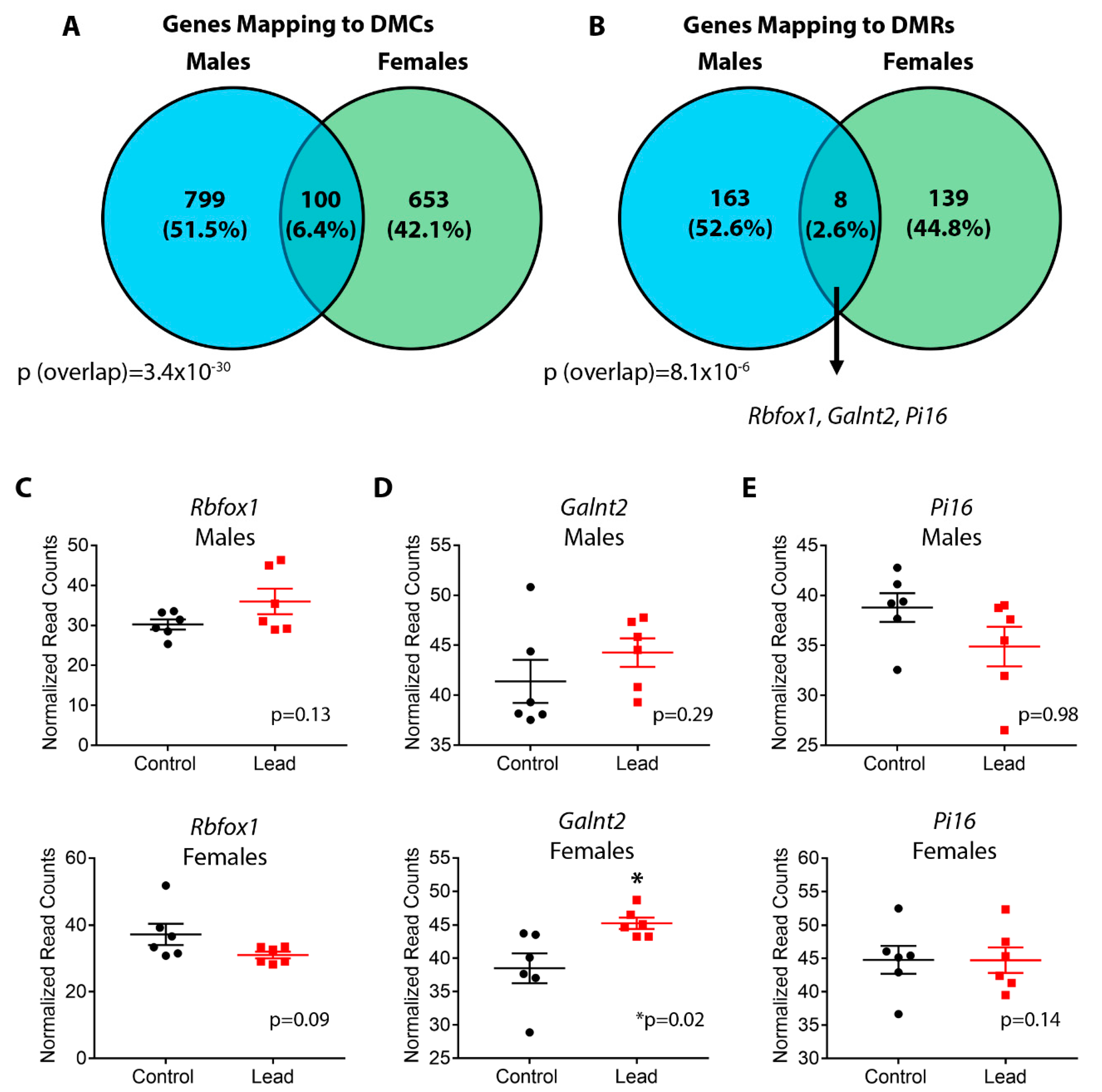 Ijerph Free Full Text Sex Specific Alterations In Cardiac Dna