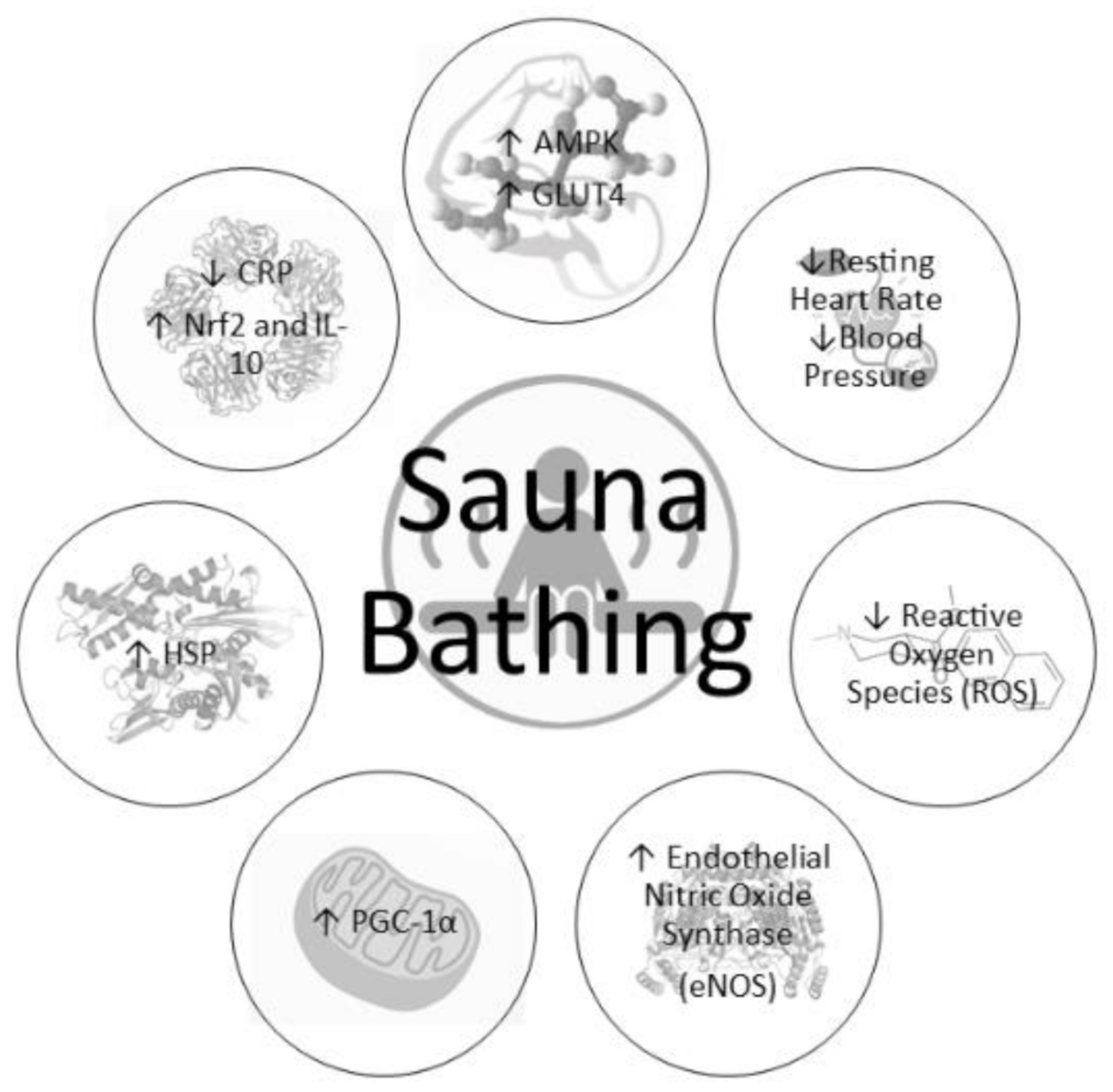 IJERPH | Free Full-Text | The Cardiometabolic Health Benefits of Sauna  Exposure in Individuals with High-Stress Occupations. A Mechanistic Review