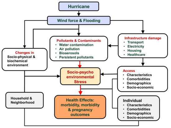 Hurricanes & Aquatic Habitat: What's the Impact?
