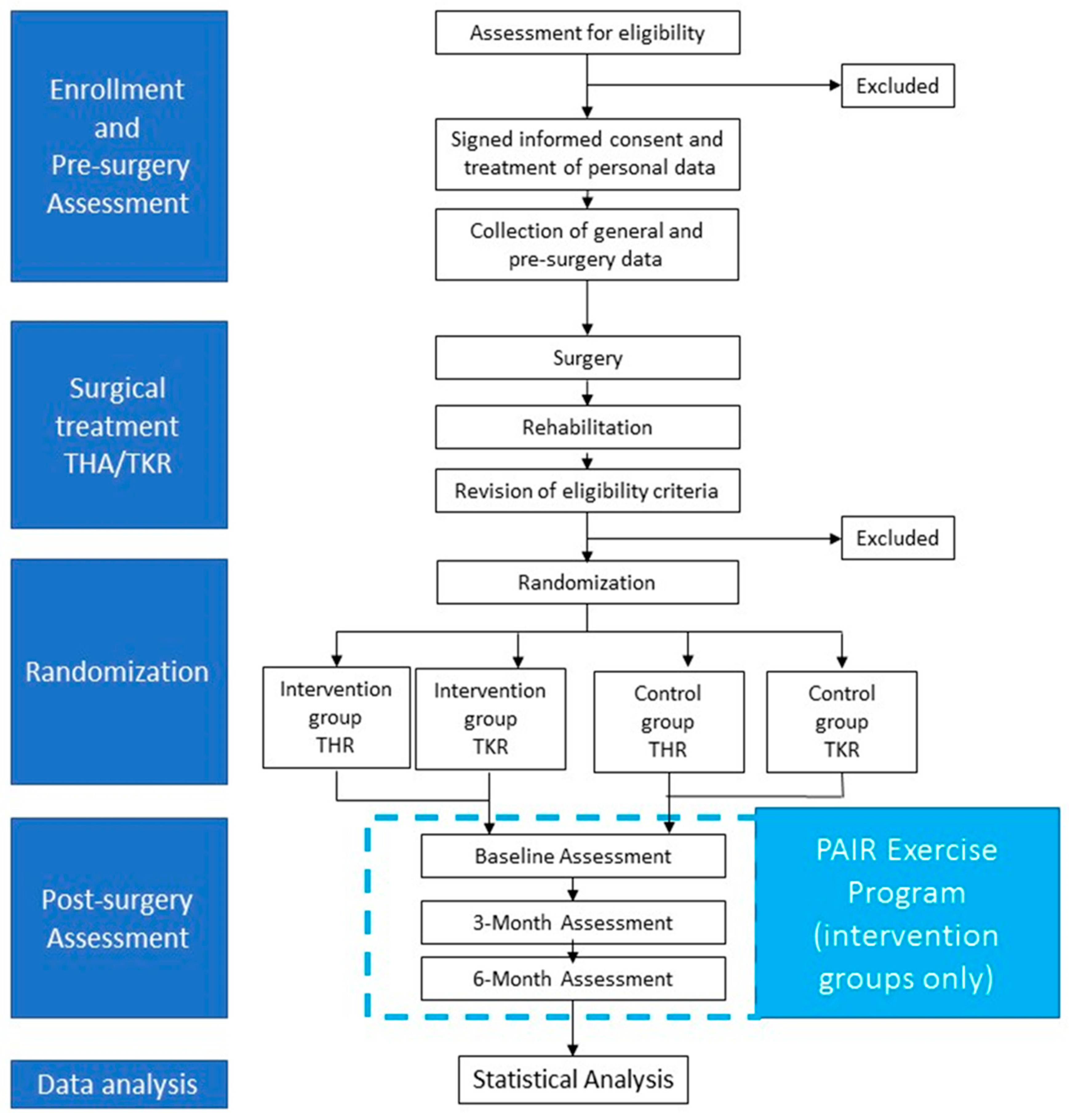 PDF) Influence of a periodized circuit training protocol on intermuscular  adipose tissue of patients with knee osteoarthritis: Protocol for a  randomized controlled trial