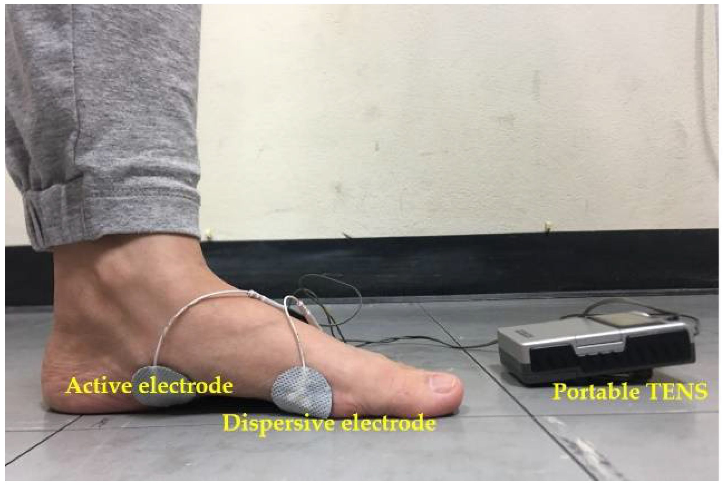 IJERPH Free Full-Text The Effects of Electrical Stimulation Program on Navicular Height, Balance, and Fear of Falling in Community-Dwelling Elderly