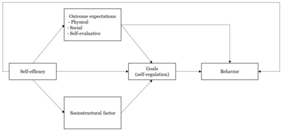 Social cognitive best sale theory self efficacy