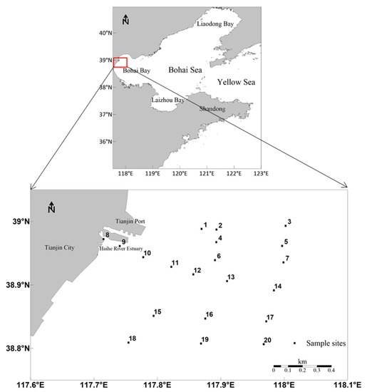 The Pollution Status of Heavy Metals in the Surface Seawater and ...