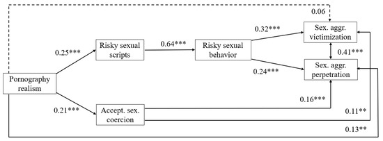 Shcool Girl Reps Xxx Vedios - IJERPH | Free Full-Text | Links of Perceived Pornography Realism with  Sexual Aggression via Sexual Scripts, Sexual Behavior, and Acceptance of  Sexual Coercion: A Study with German University Students