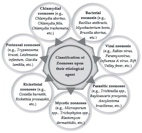 IJERPH | Free Full-Text | Climate Change and Zoonoses: A Review of ...