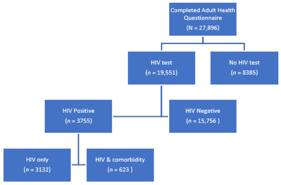 Aging with HIV: Increased Risk of HIV Comorbidities in Older Adults