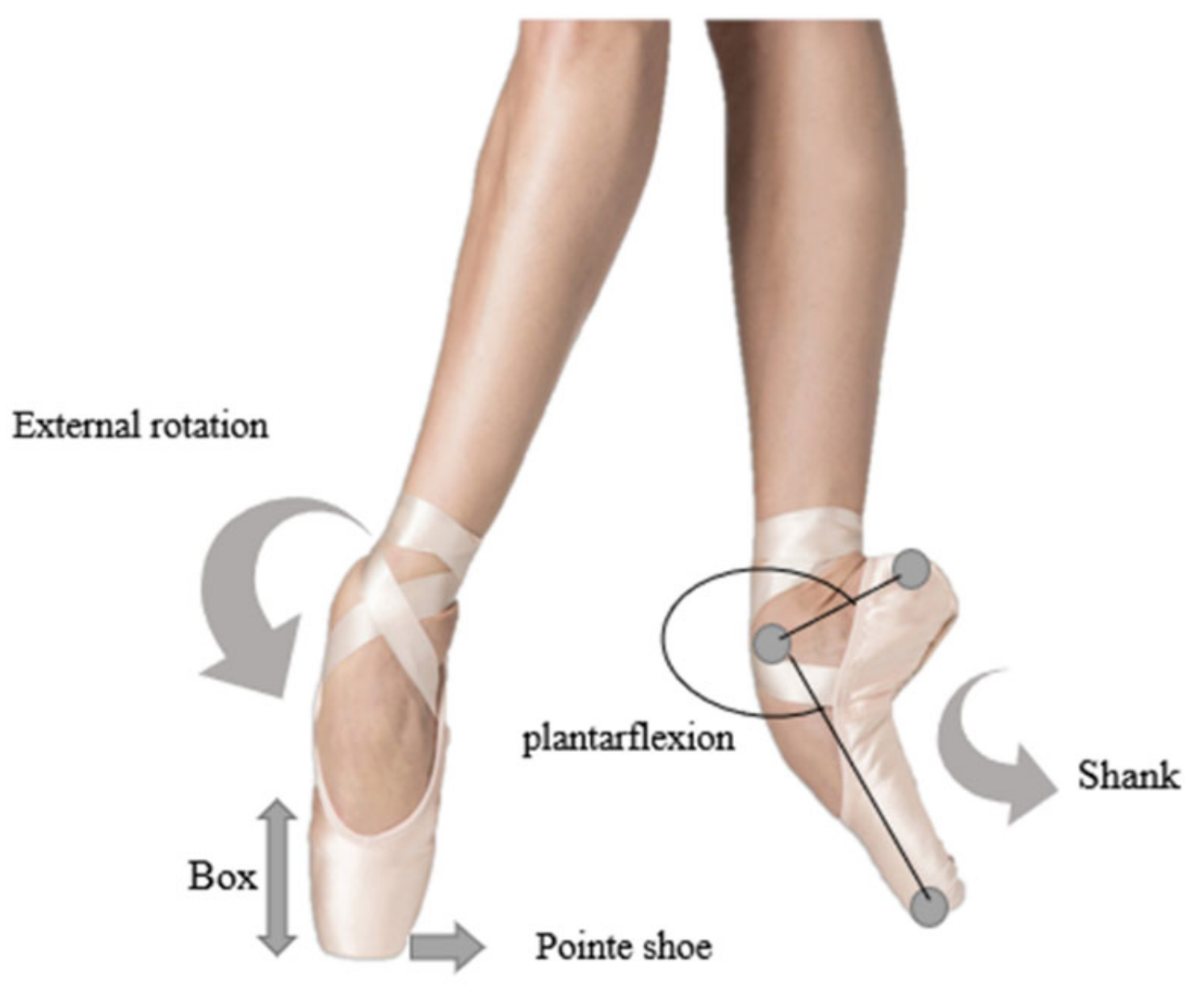 What Is a Pointe Shoe?: A Guide to the Advanced Dance Footwear