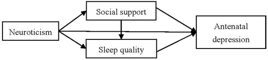 IJERPH | Free Full-Text | Pathways From Neuroticism, Social Support ...