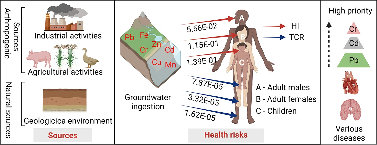 IJERPH Free Full-Text Health Risk Assessment of Heavy Metals in Groundwater of Hainan Island Using the Monte Carlo Simulation Coupled with the APCS/MLR Model picture