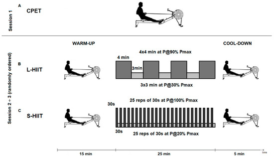 High-Intensity Interval Training for Rowing: Acute Responses in ...